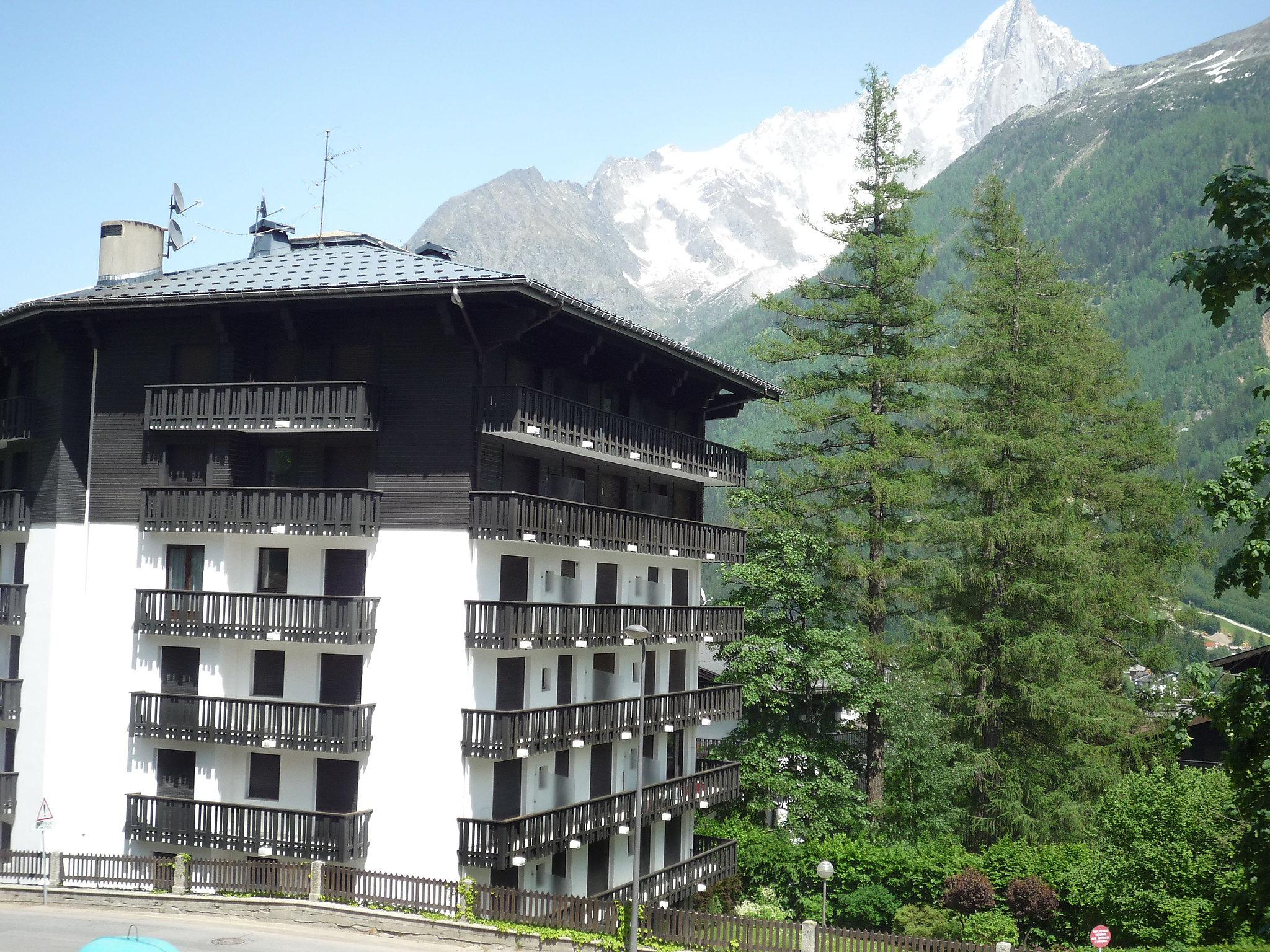 Foto 8 - Apartment mit 1 Schlafzimmer in Chamonix-Mont-Blanc mit blick auf die berge