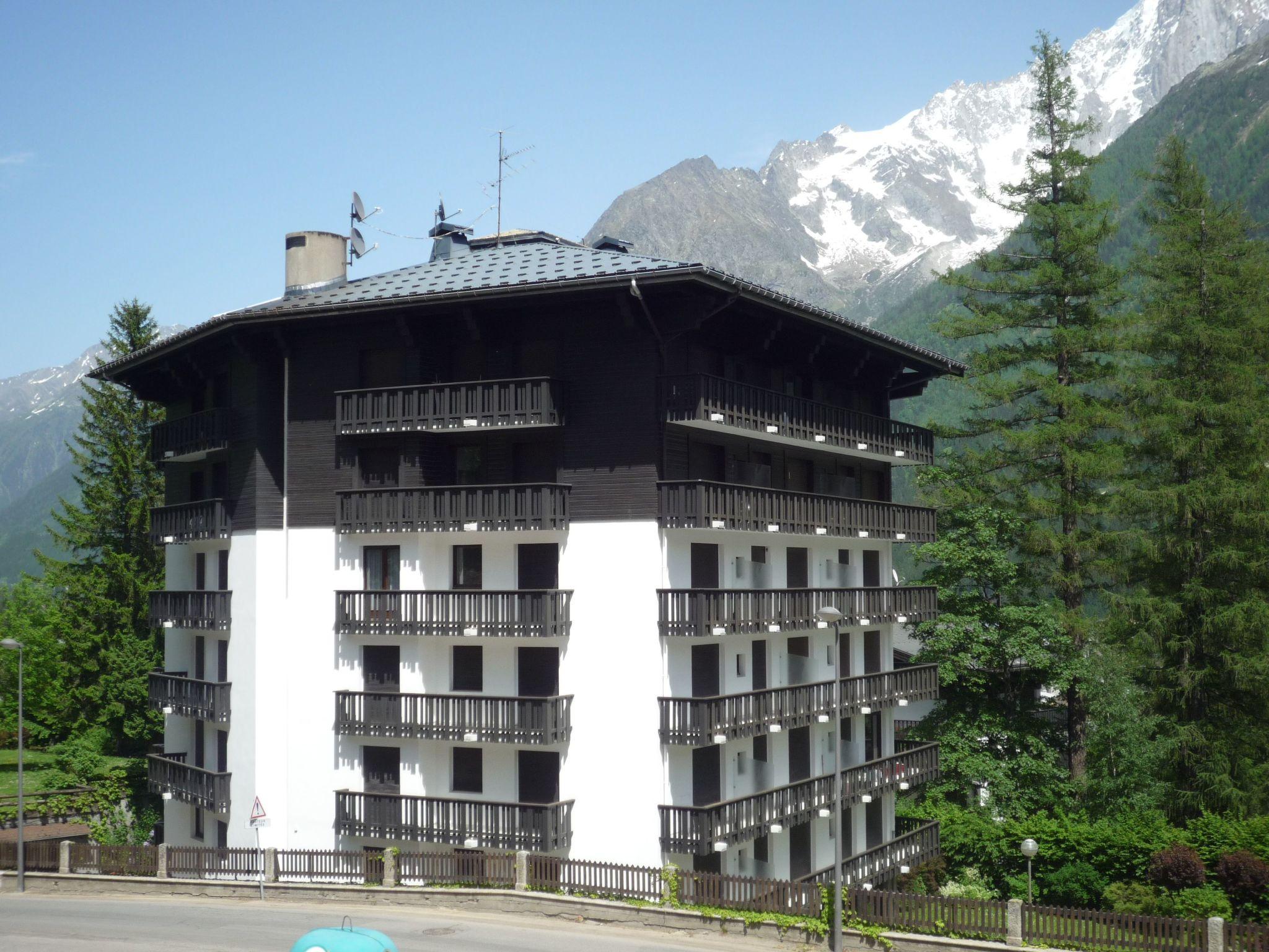 Foto 1 - Appartamento con 1 camera da letto a Chamonix-Mont-Blanc con vista sulle montagne