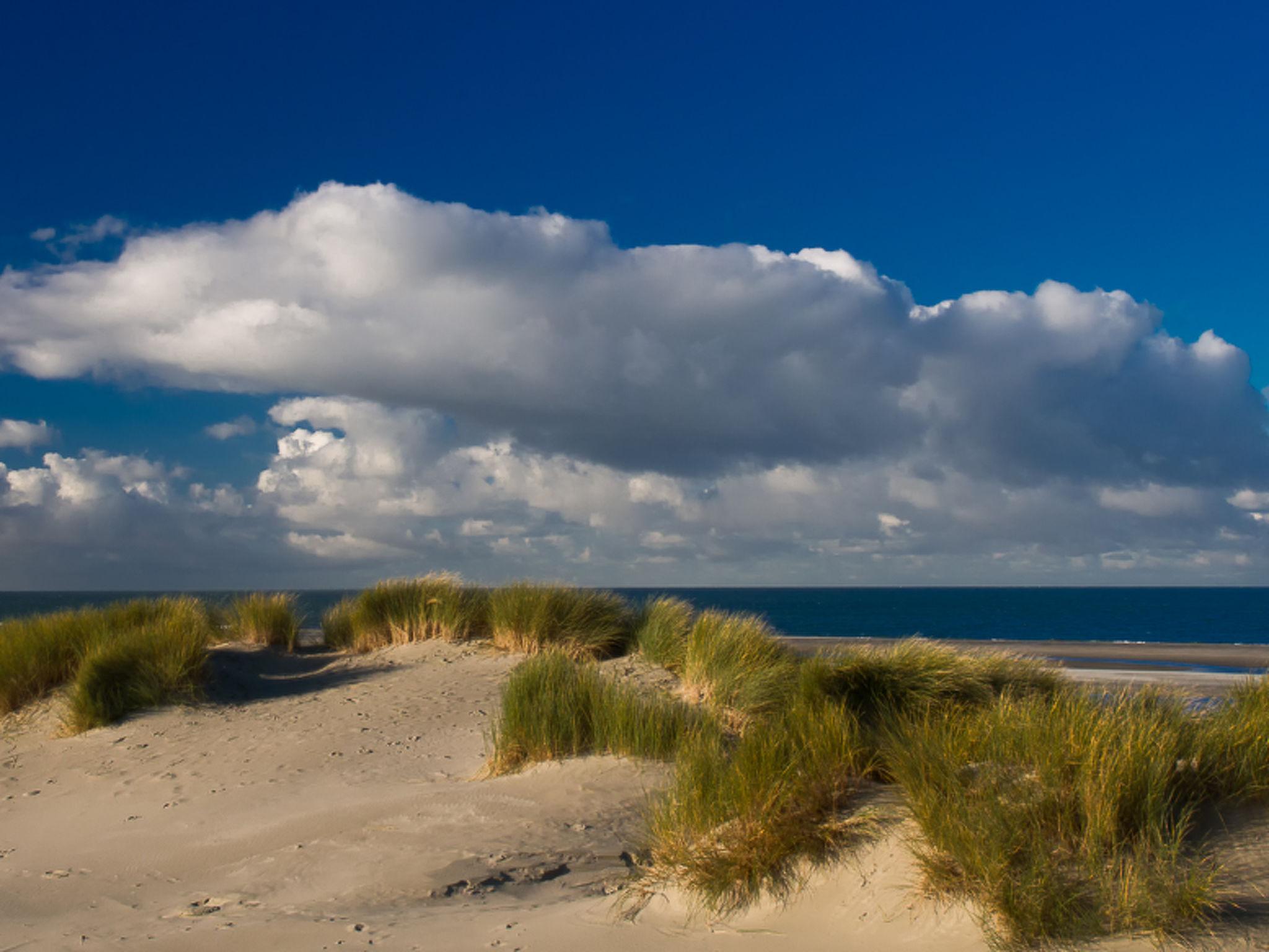 Photo 10 - 2 bedroom Apartment in Wissenkerke with garden and sea view