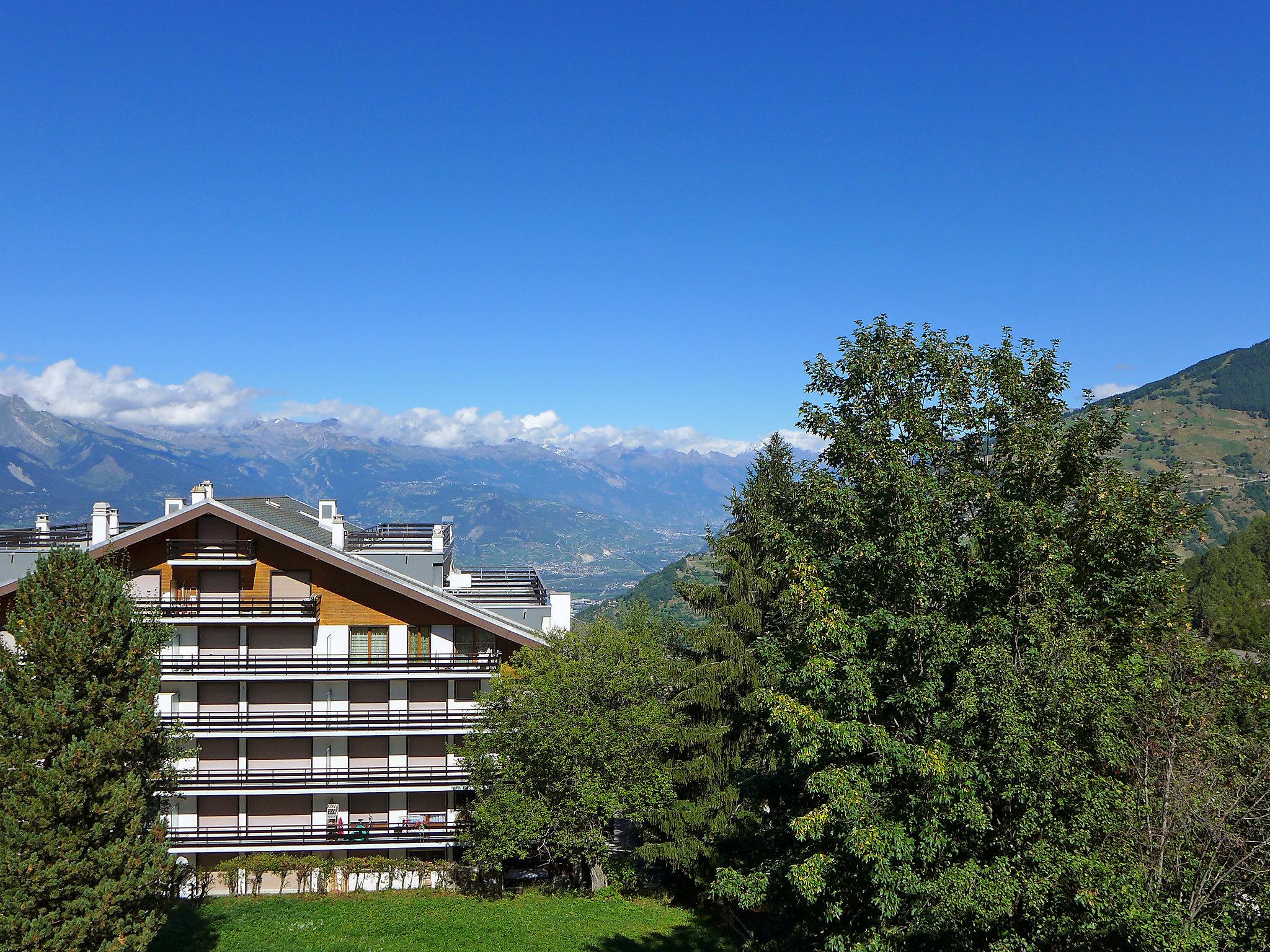 Foto 18 - Apartamento de 1 habitación en Nendaz con vistas a la montaña