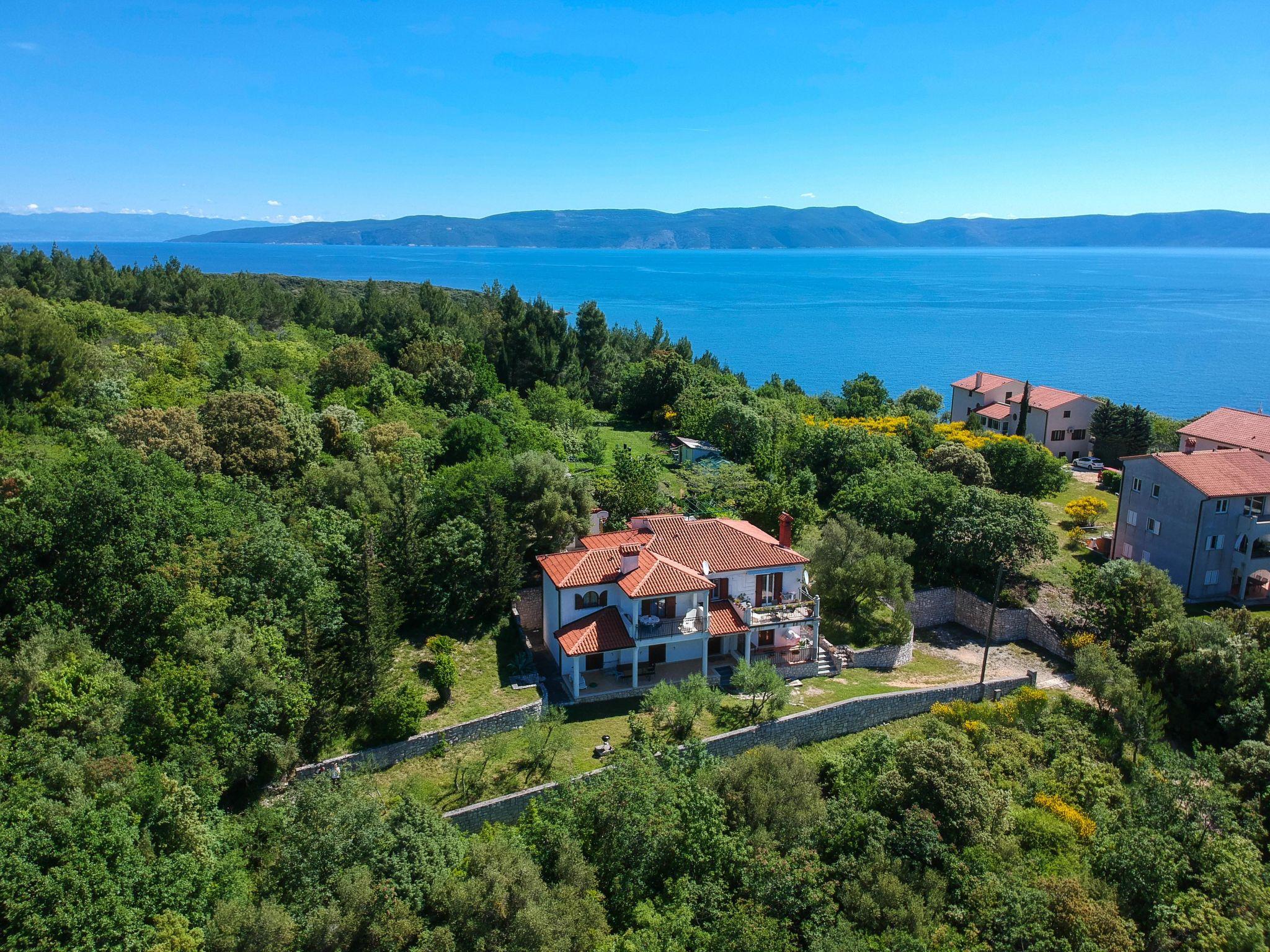 Foto 18 - Casa con 5 camere da letto a Raša con terrazza e vista mare