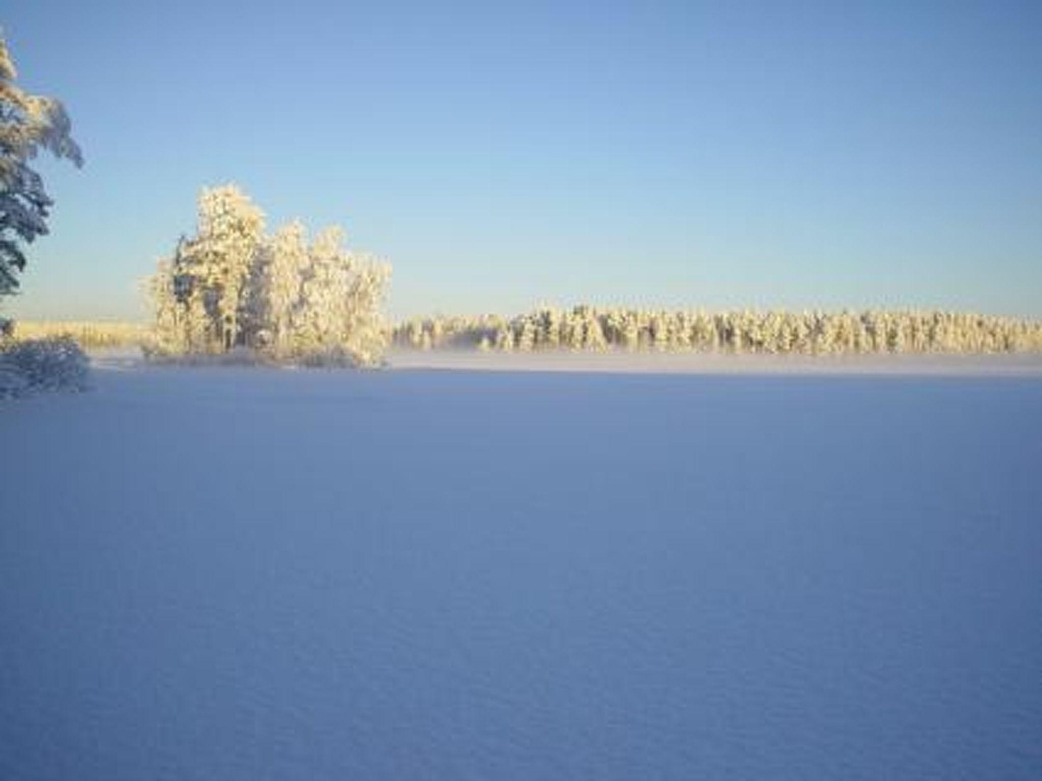 Foto 40 - Casa de 1 quarto em Kankaanpää com sauna