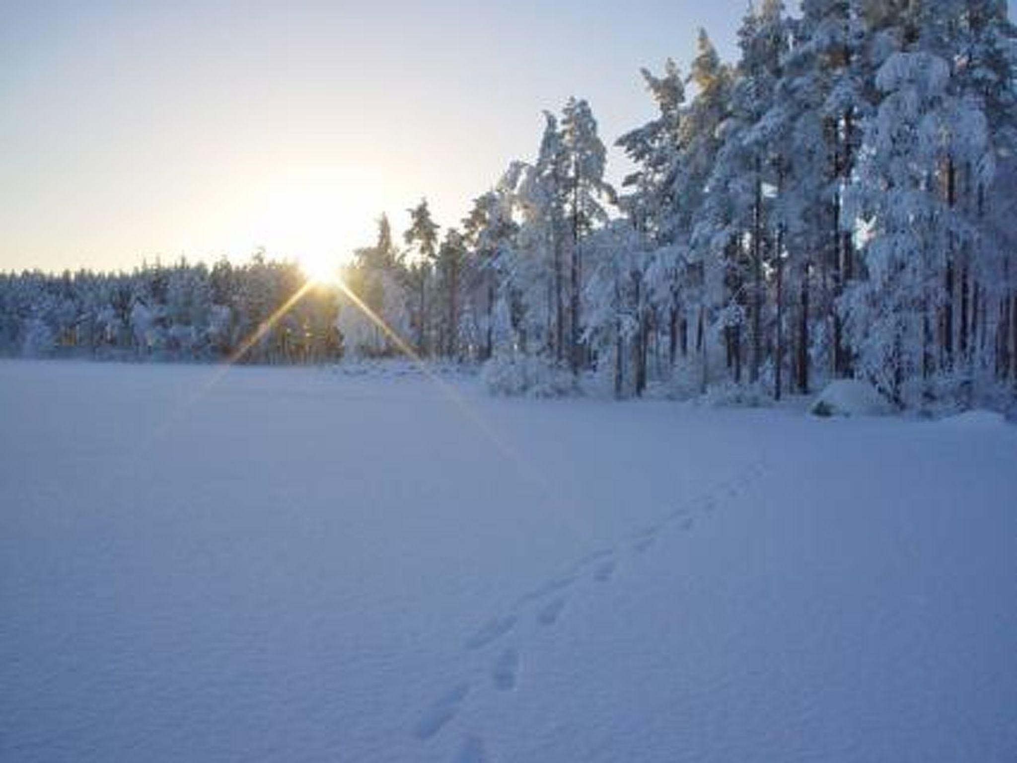 Foto 41 - Casa de 1 quarto em Kankaanpää com sauna