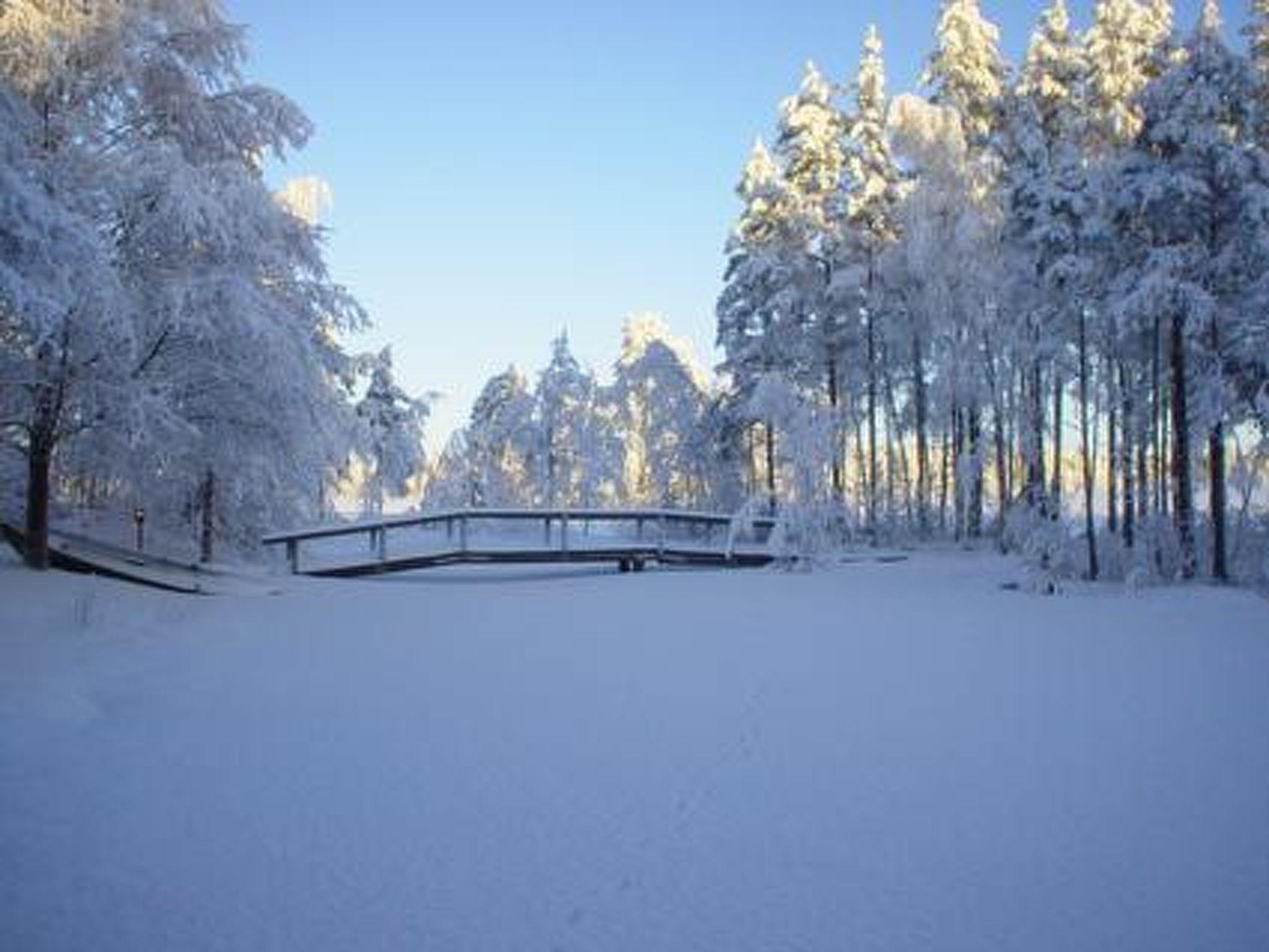 Foto 38 - Casa de 1 quarto em Kankaanpää com sauna