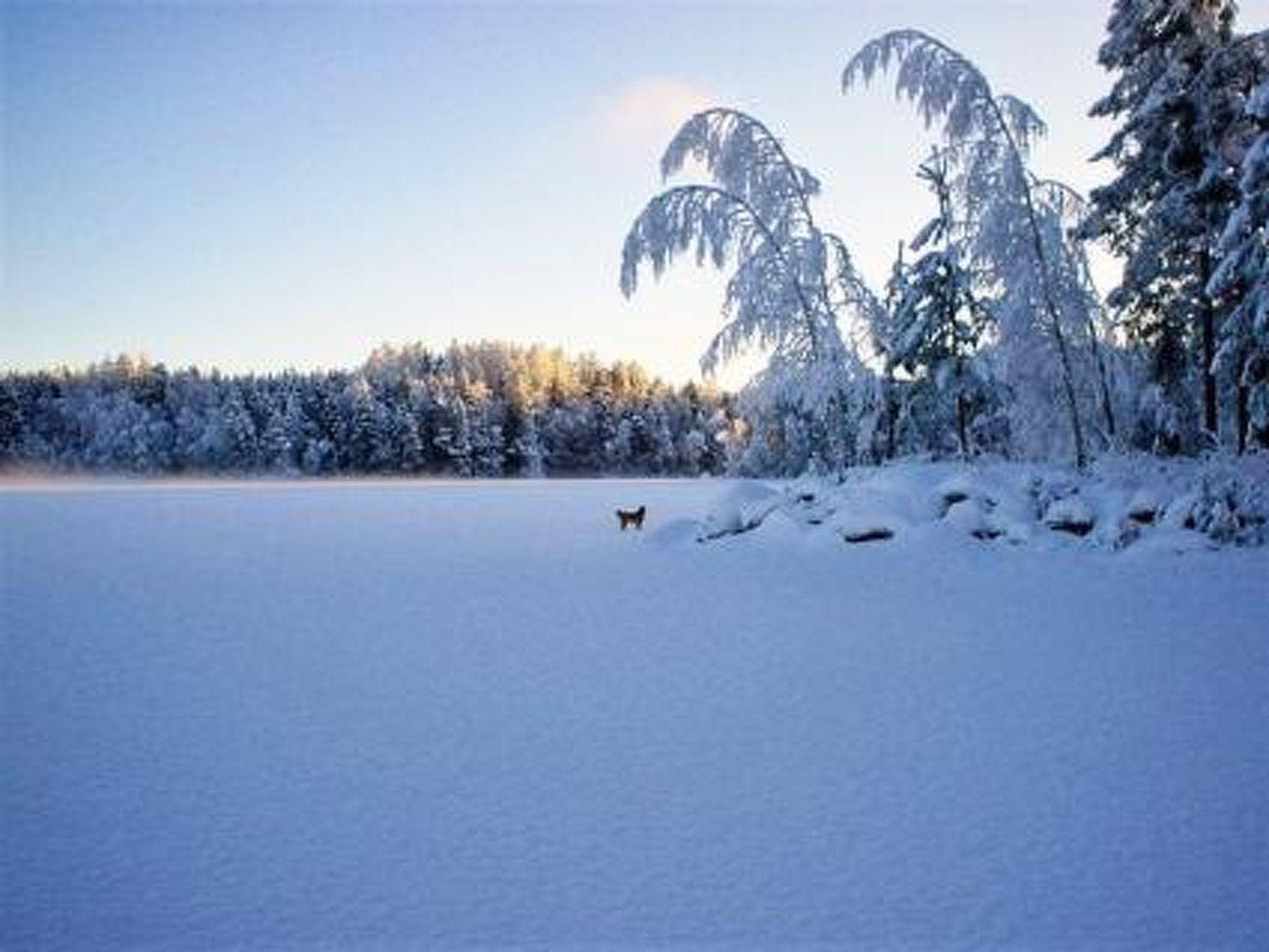 Photo 39 - Maison de 1 chambre à Kankaanpää avec sauna