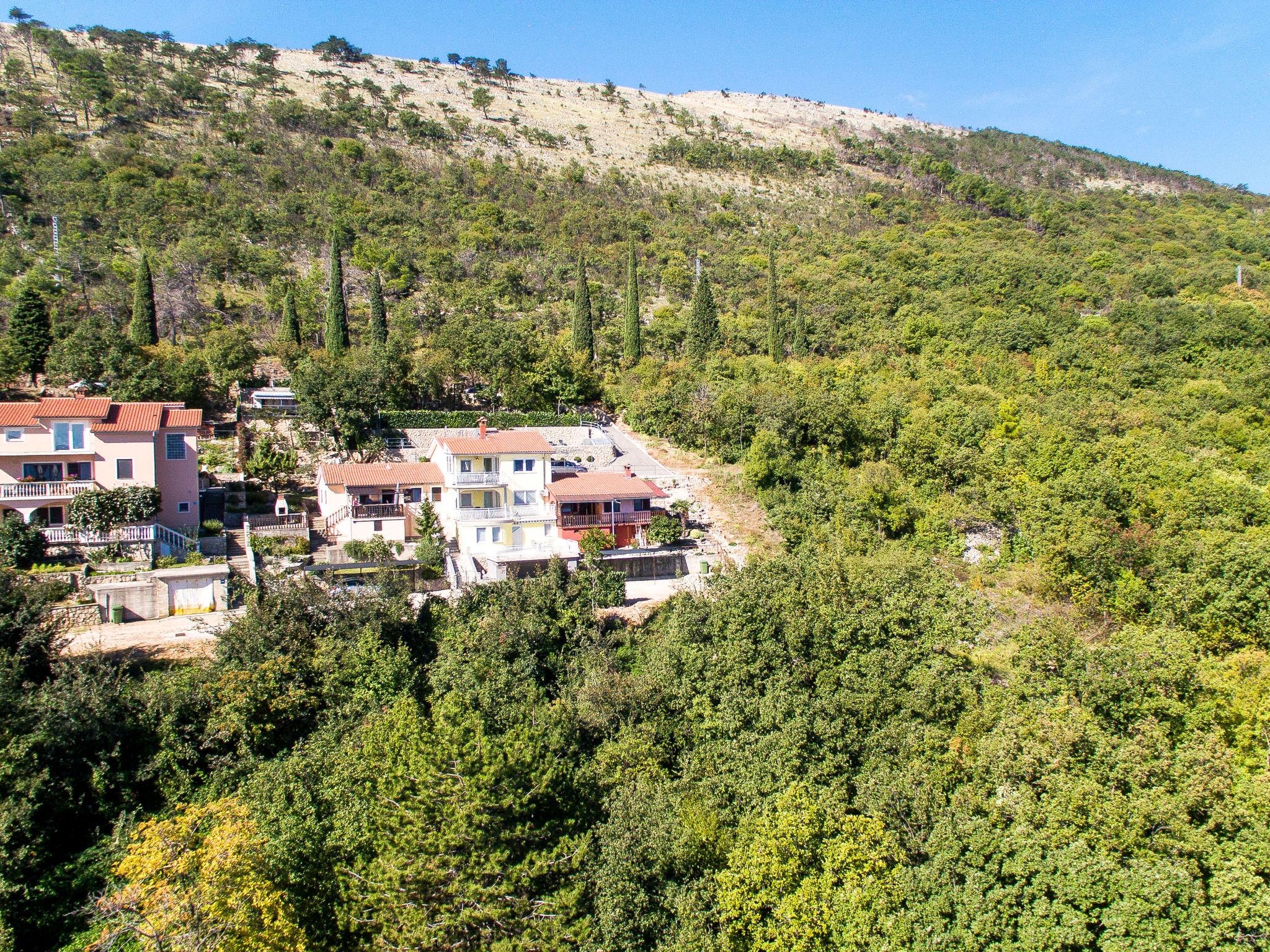 Foto 43 - Casa con 4 camere da letto a Kršan con piscina privata e vista mare