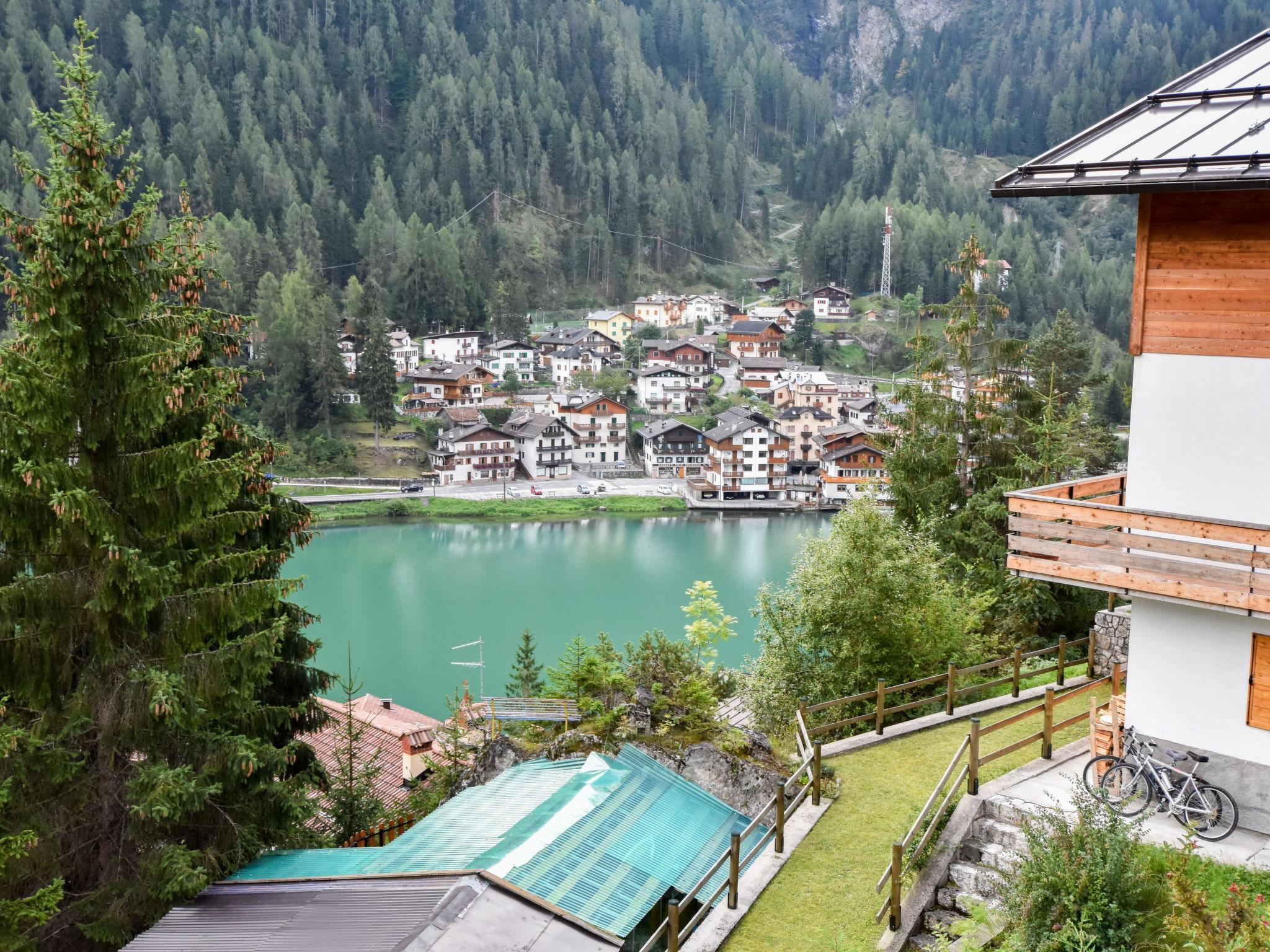 Photo 5 - Appartement de 3 chambres à Alleghe avec jardin et vues sur la montagne