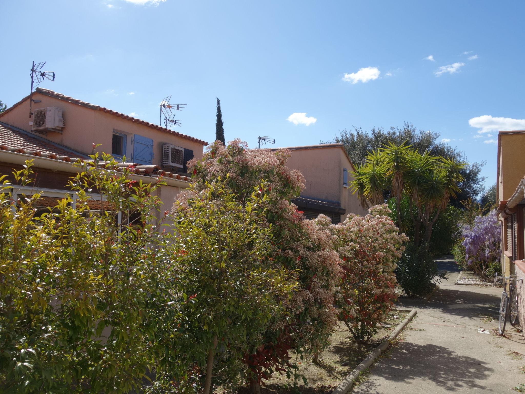 Foto 15 - Haus mit 2 Schlafzimmern in Saint-Cyprien mit blick aufs meer