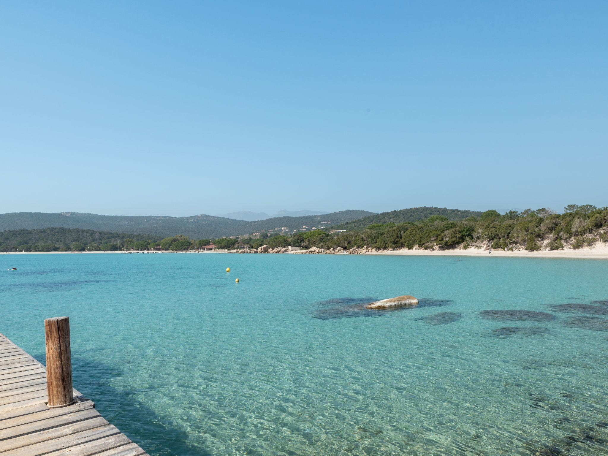 Foto 21 - Casa con 2 camere da letto a Porto-Vecchio con piscina e vista mare