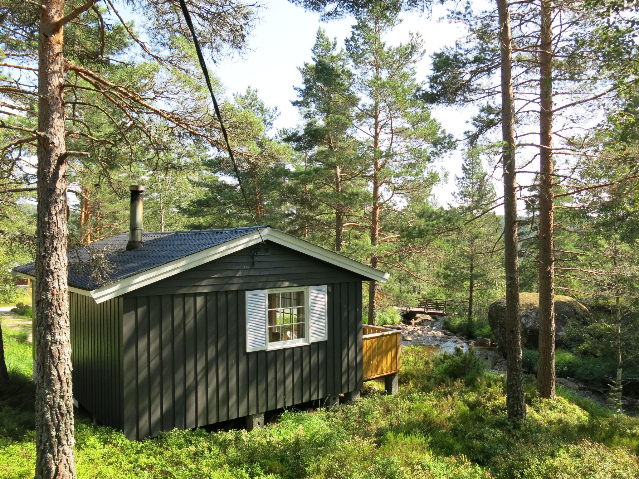 Foto 6 - Casa con 2 camere da letto a Fossdal con terrazza