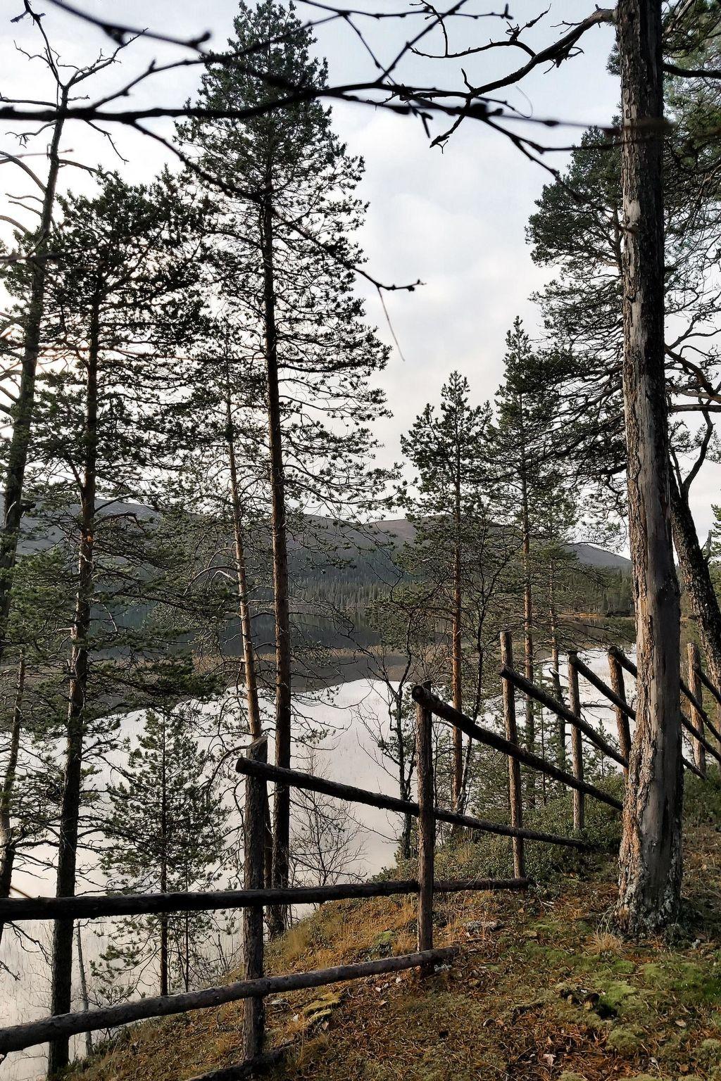 Foto 37 - Casa de 3 habitaciones en Enontekiö con sauna y vistas a la montaña