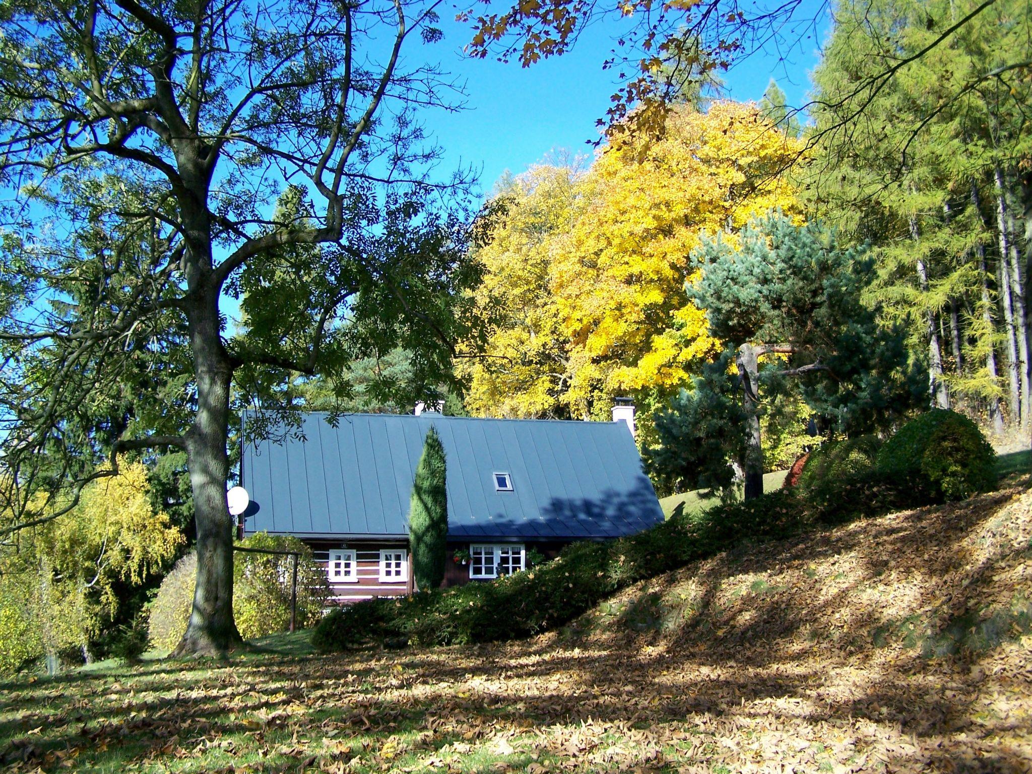 Foto 16 - Haus mit 2 Schlafzimmern in Teplice nad Metují