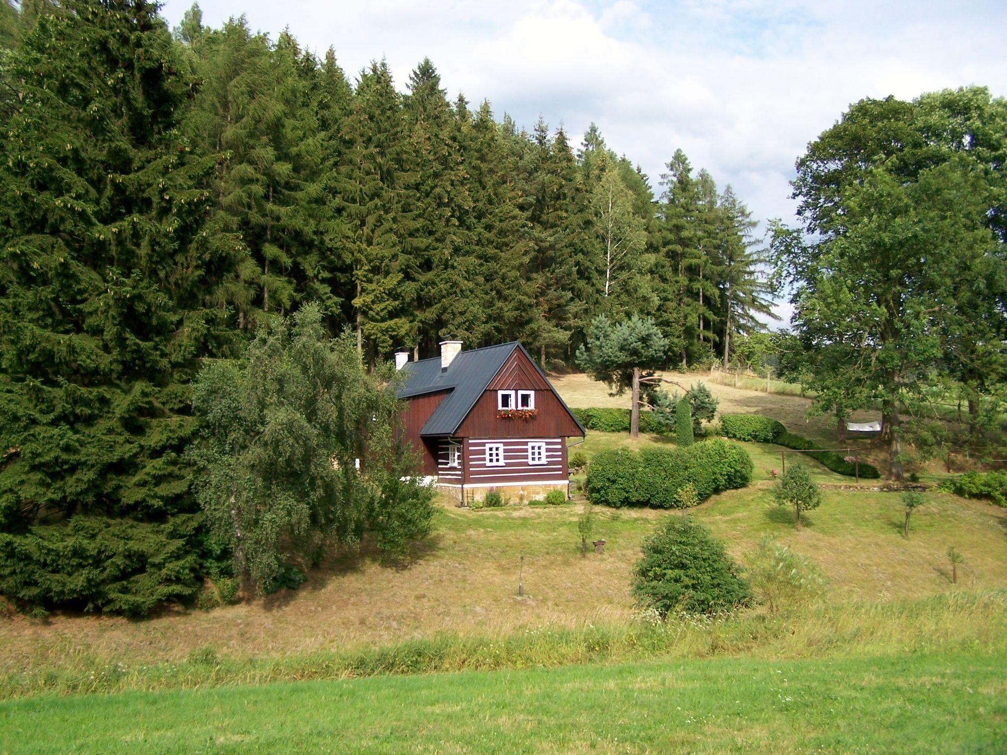 Foto 24 - Haus mit 2 Schlafzimmern in Teplice nad Metují