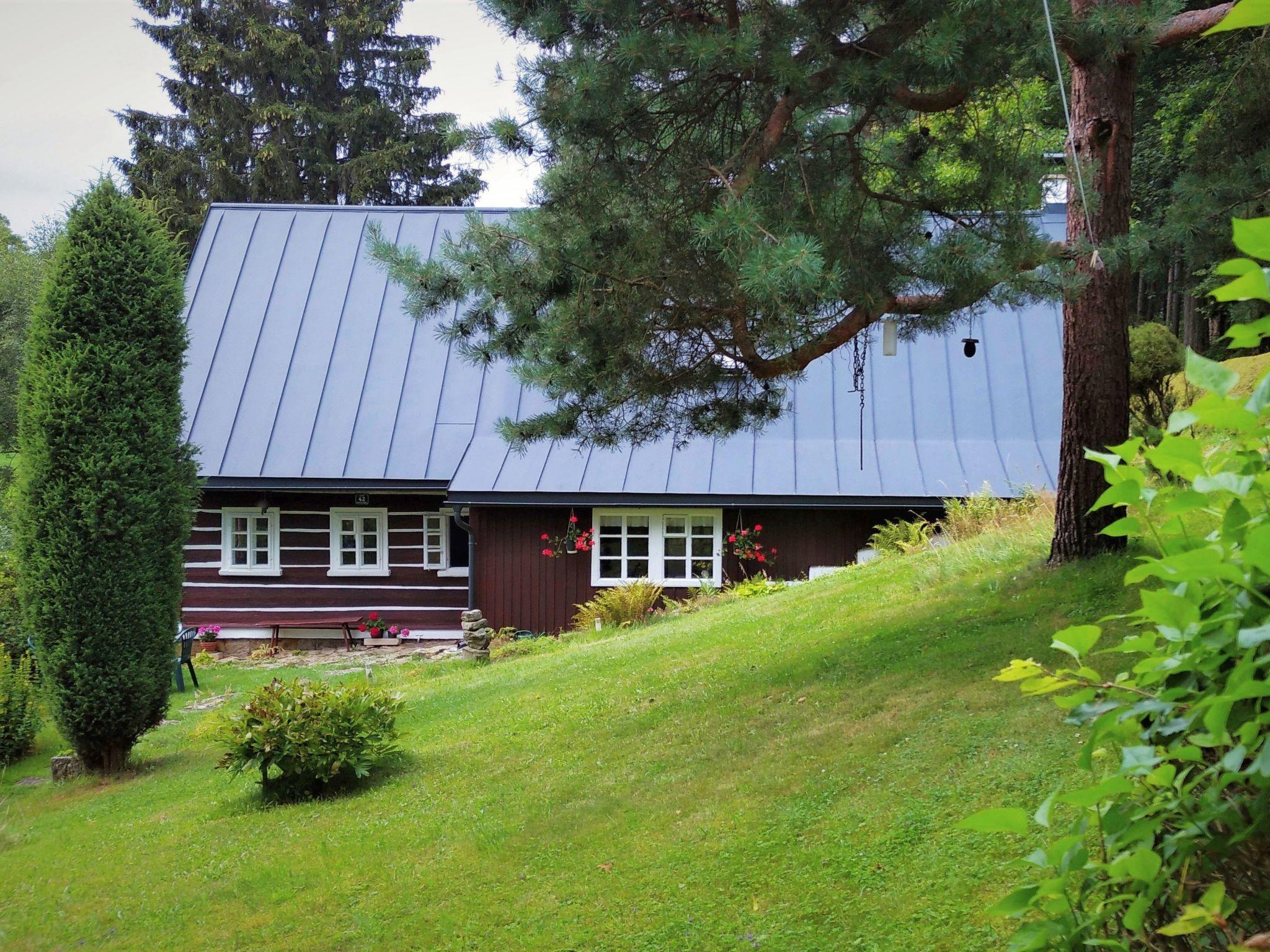 Foto 15 - Haus mit 2 Schlafzimmern in Teplice nad Metují