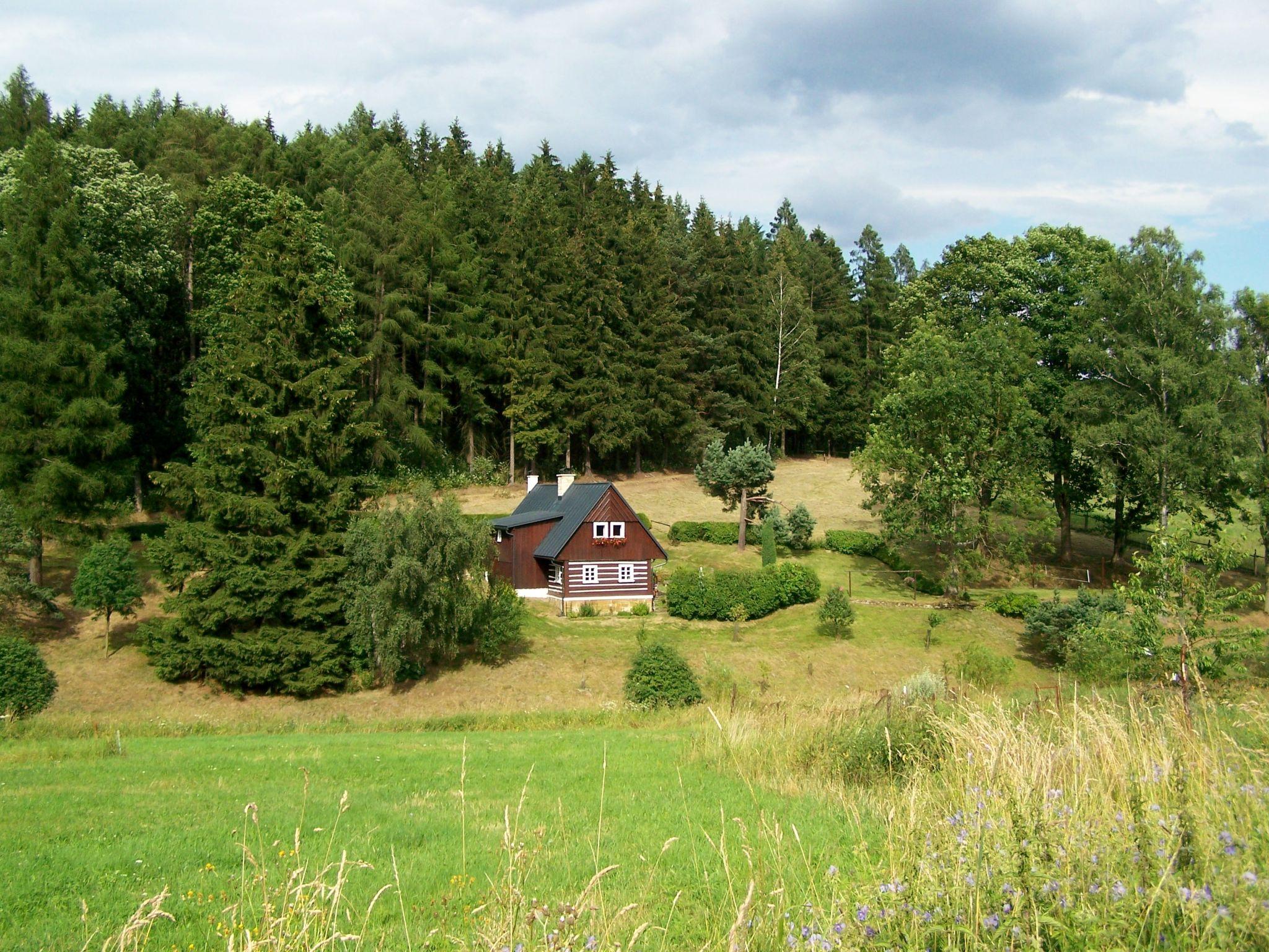 Foto 25 - Haus mit 2 Schlafzimmern in Teplice nad Metují