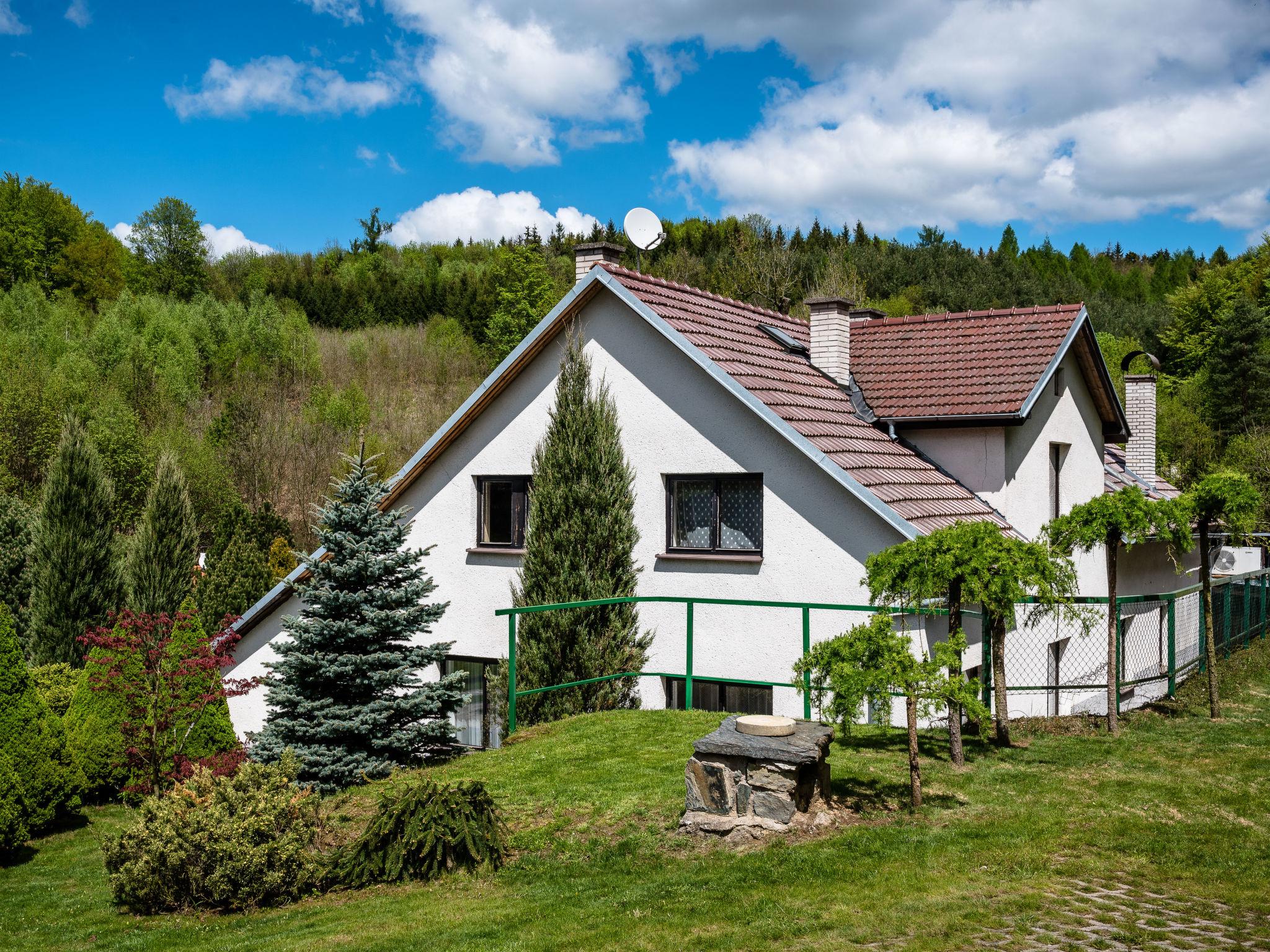 Foto 22 - Casa con 6 camere da letto a Rataje nad Sázavou con piscina privata e giardino