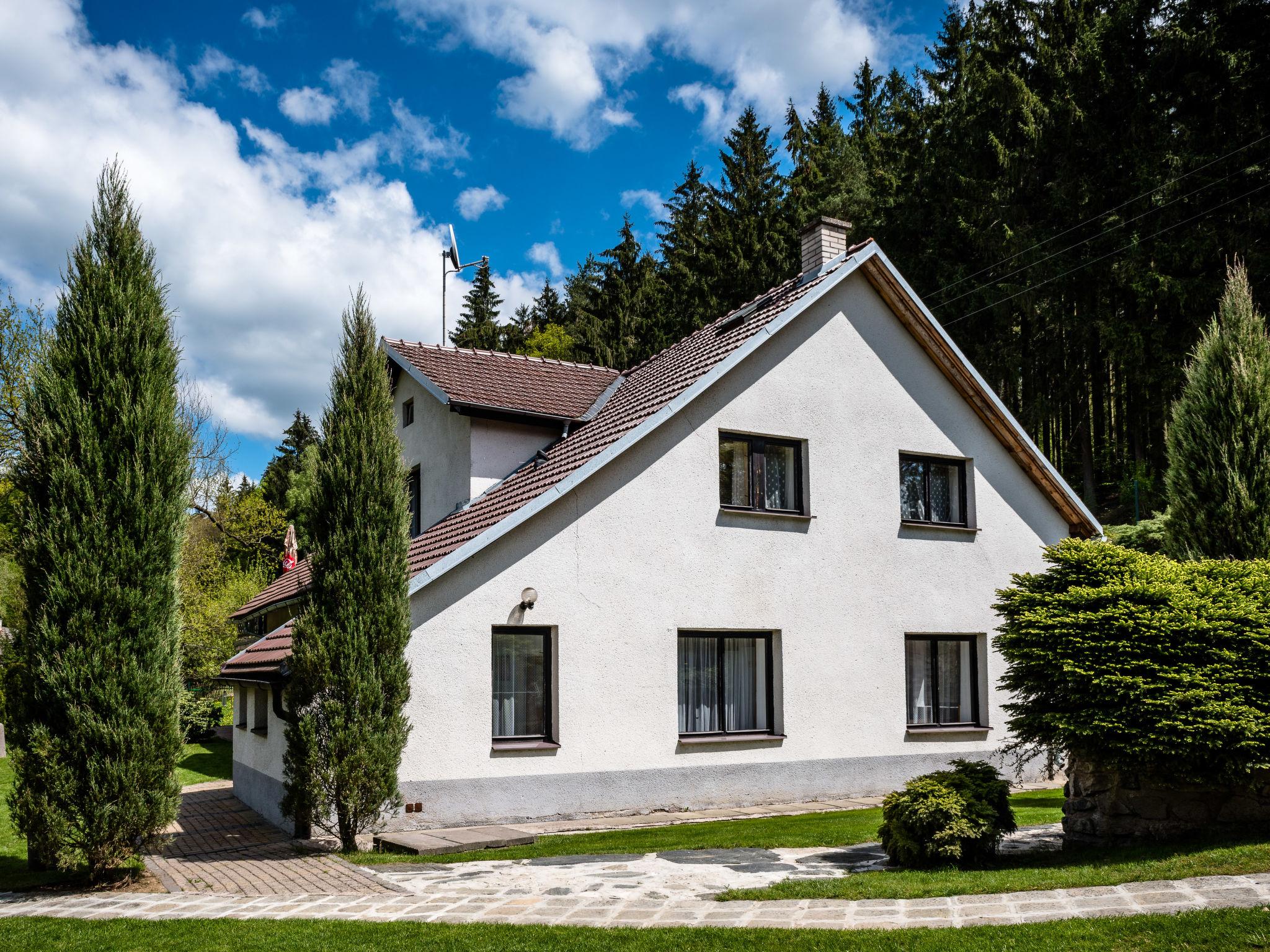 Photo 21 - Maison de 6 chambres à Rataje nad Sázavou avec piscine privée et jardin