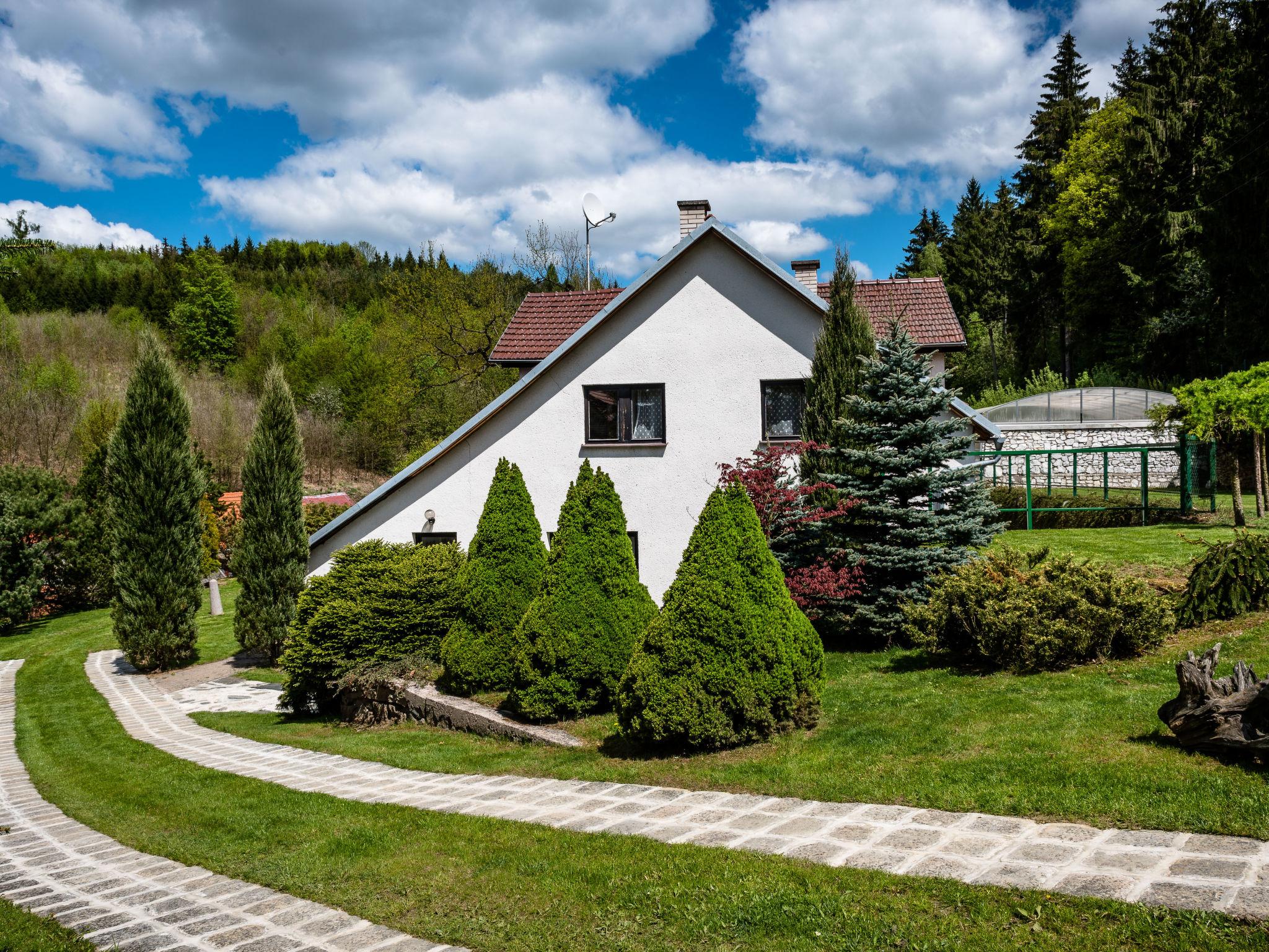 Foto 43 - Casa de 6 habitaciones en Rataje nad Sázavou con piscina privada y jardín