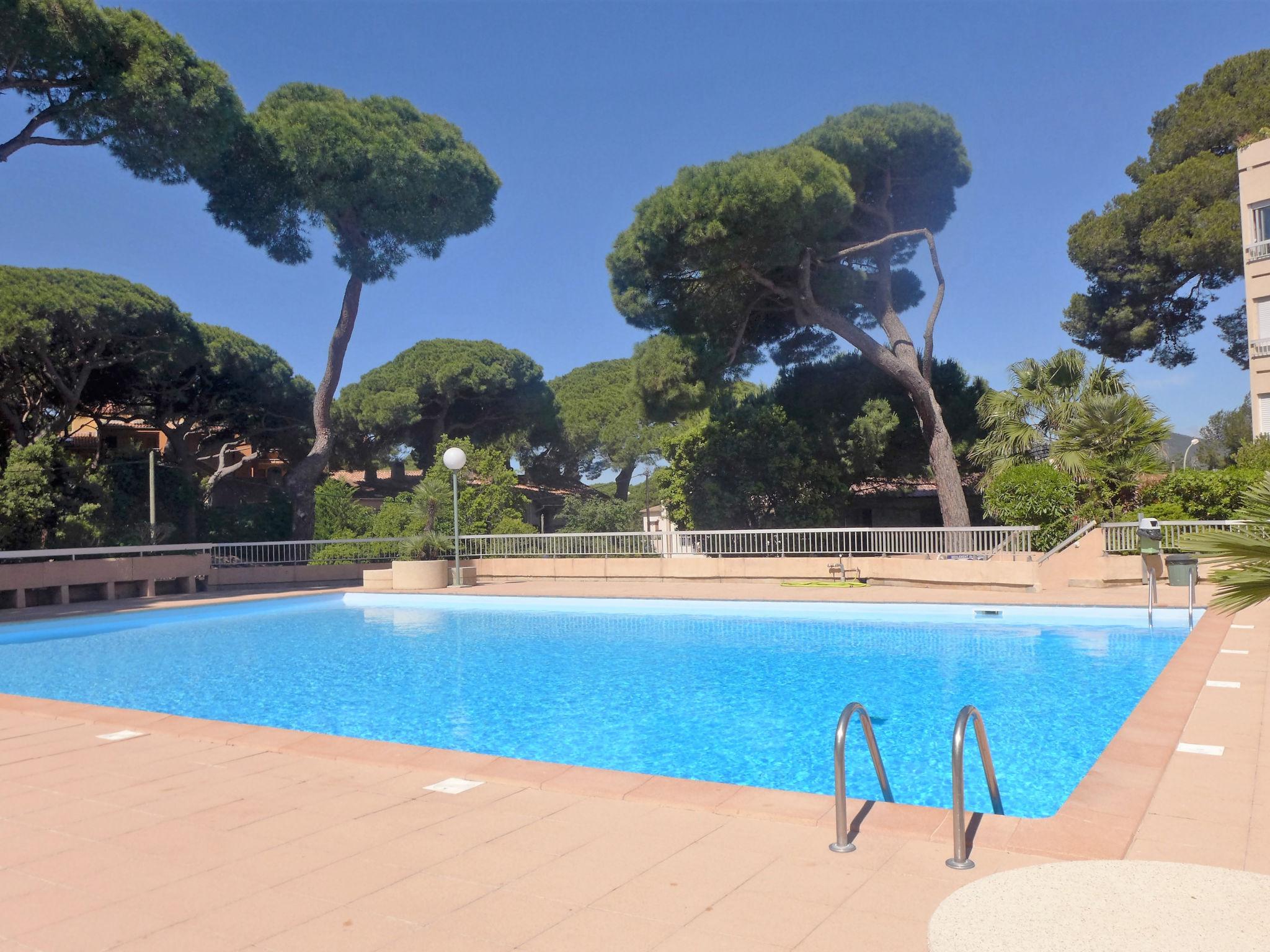 Photo 15 - 1 bedroom Apartment in Hyères with swimming pool and sea view