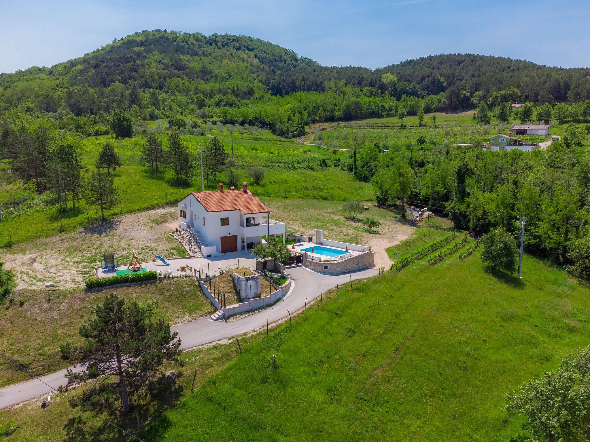 Foto 9 - Casa de 3 habitaciones en Motovun con piscina privada y jardín