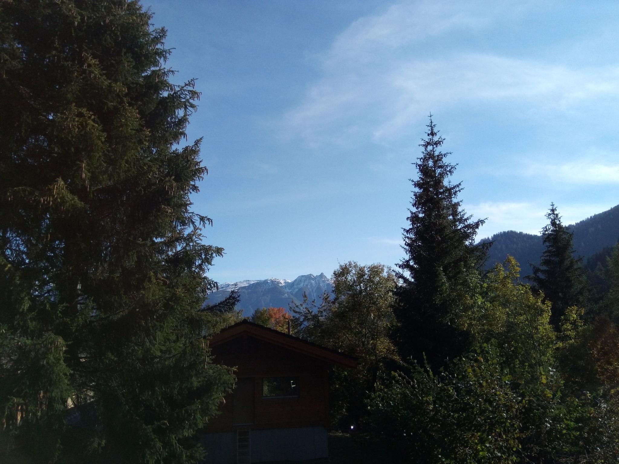 Photo 21 - Maison de 4 chambres à Leytron avec terrasse et vues sur la montagne