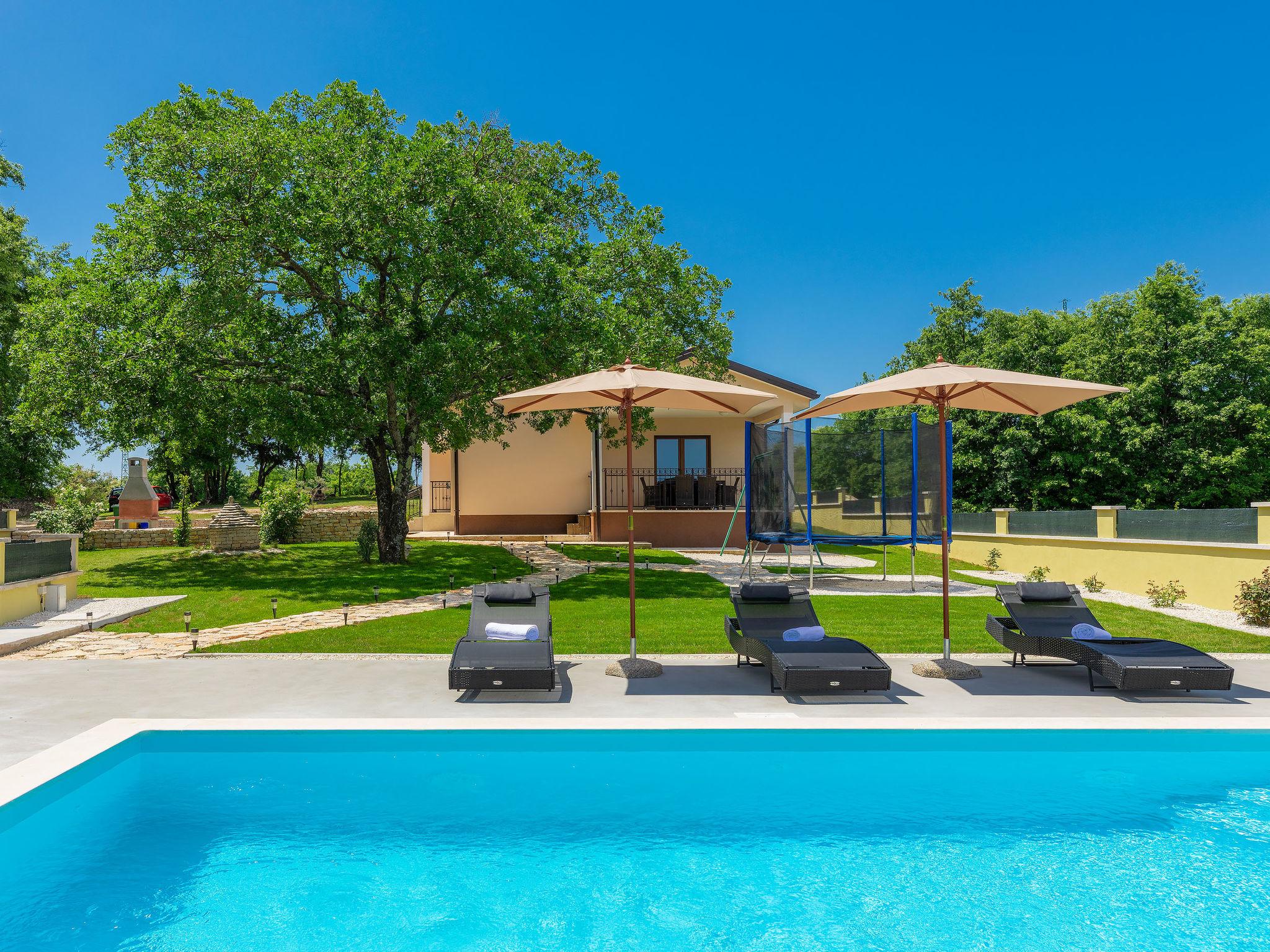 Foto 1 - Casa con 3 camere da letto a Žminj con piscina privata e vista mare