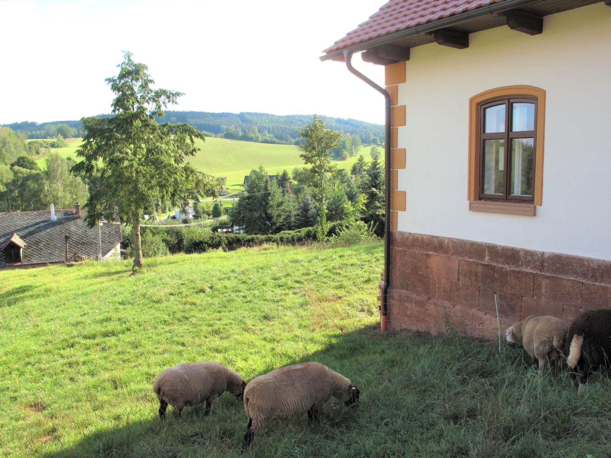 Foto 14 - Casa de 4 quartos em Dolní Olešnice com piscina privada e vista para a montanha