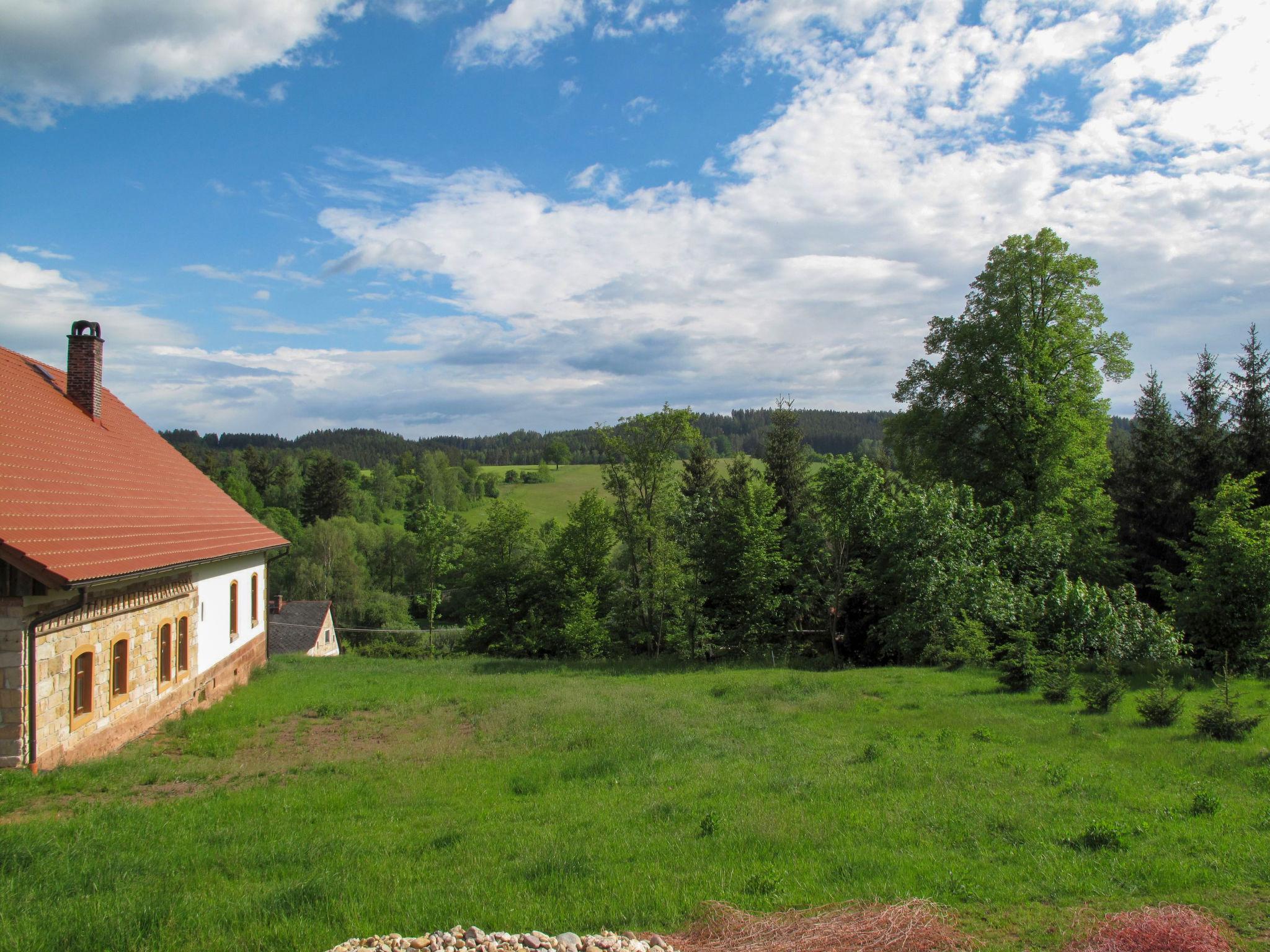 Foto 16 - Haus mit 4 Schlafzimmern in Dolní Olešnice mit privater pool und blick auf die berge