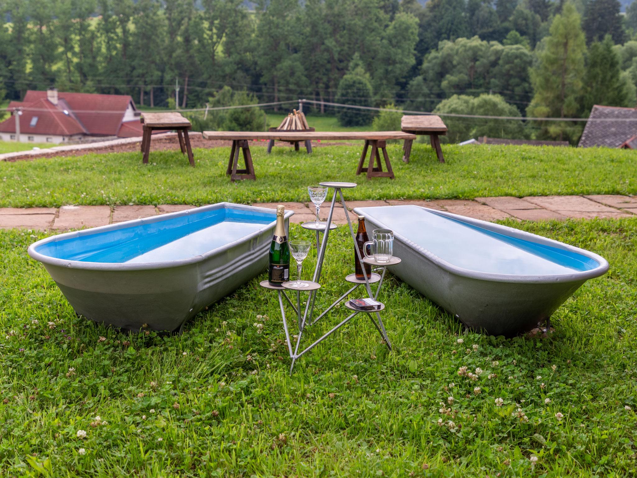 Foto 10 - Casa con 4 camere da letto a Dolní Olešnice con piscina privata e giardino