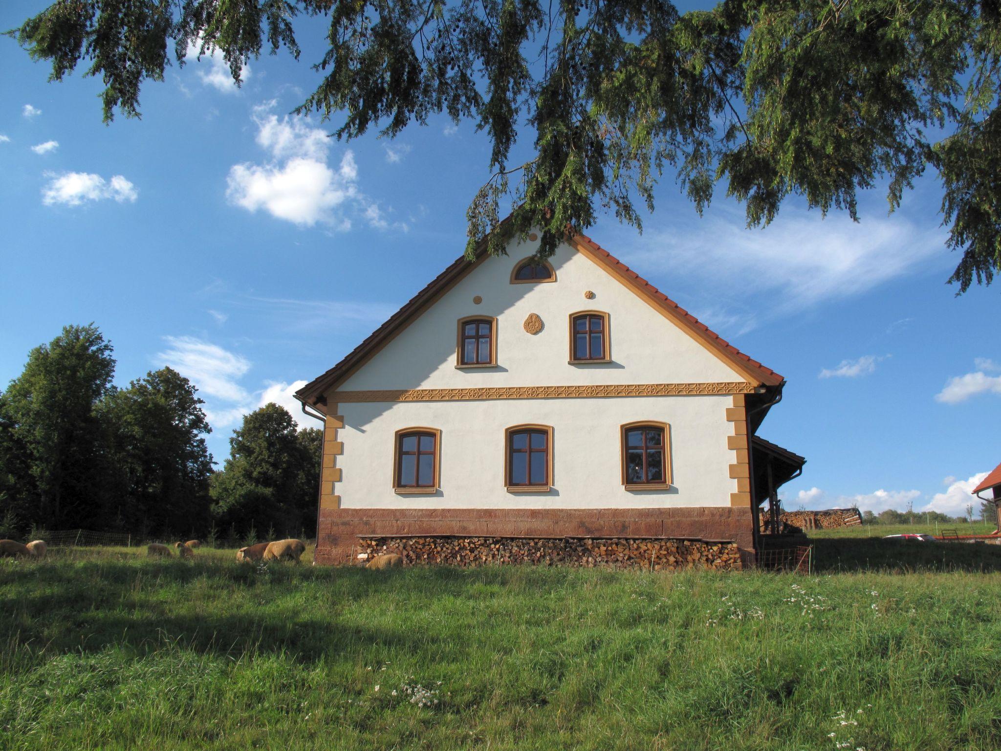 Photo 15 - 4 bedroom House in Dolní Olešnice with private pool and mountain view