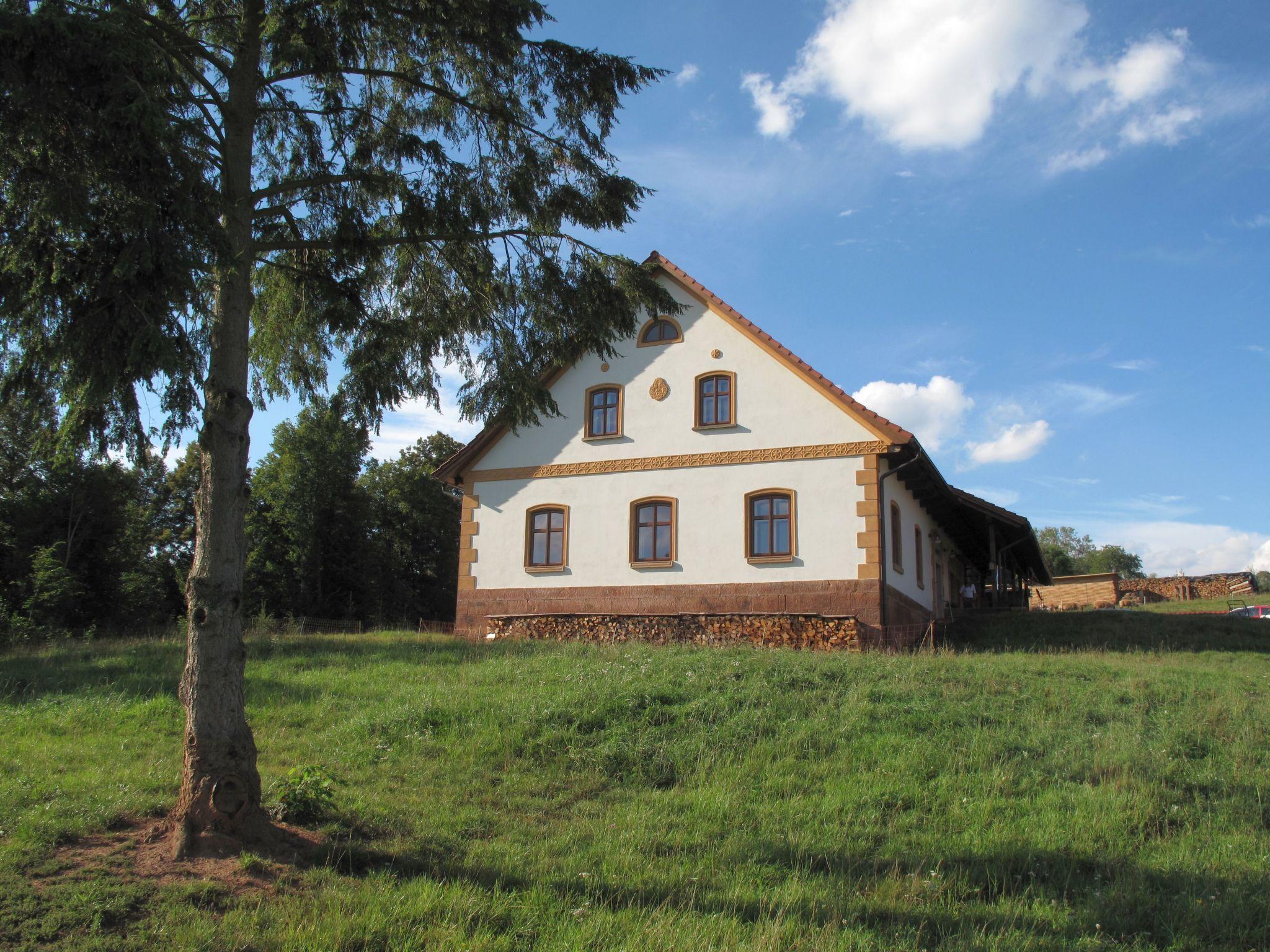 Photo 31 - 4 bedroom House in Dolní Olešnice with private pool and garden