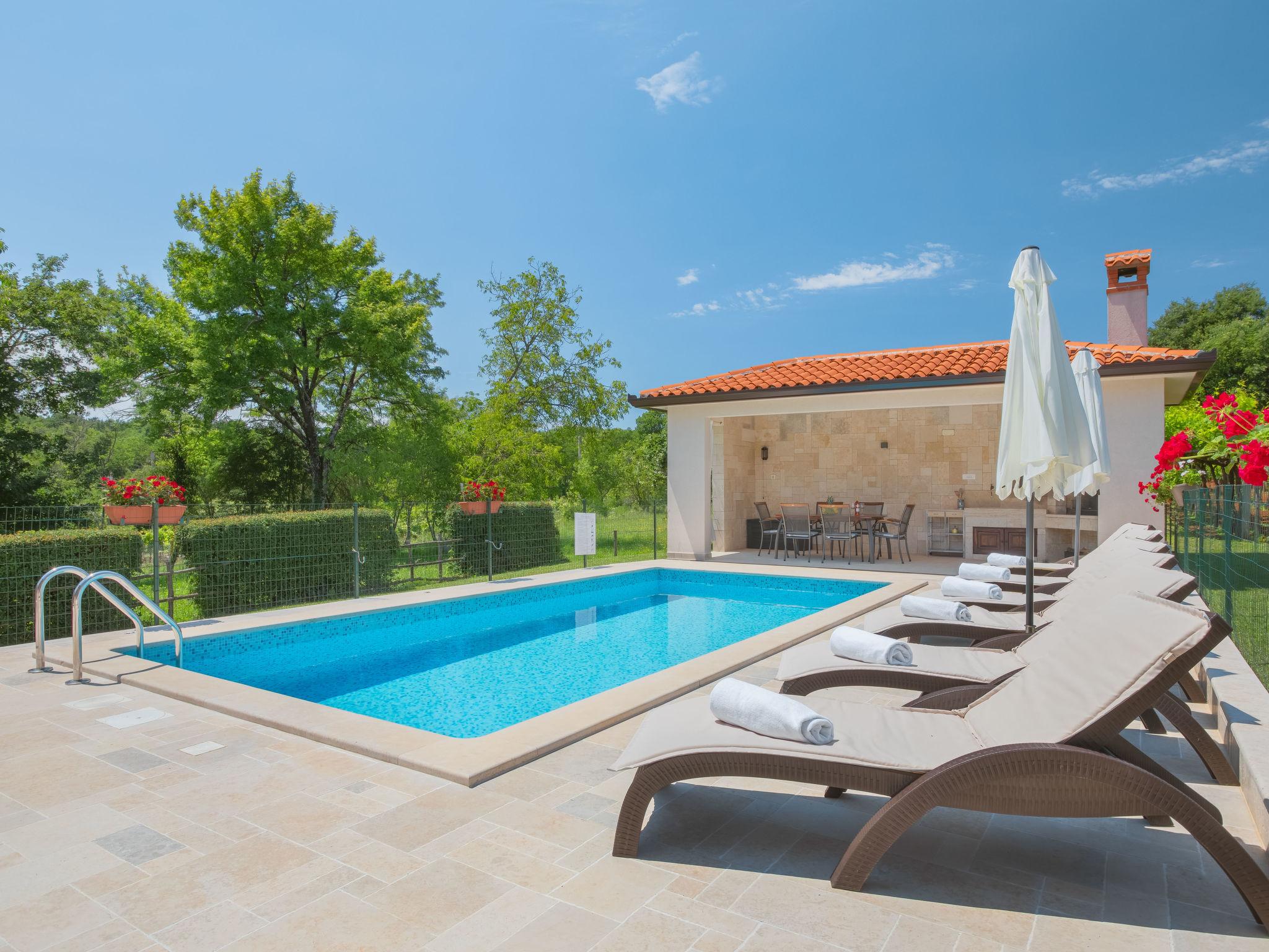 Photo 3 - Maison de 3 chambres à Sveta Nedelja avec piscine privée et vues à la mer