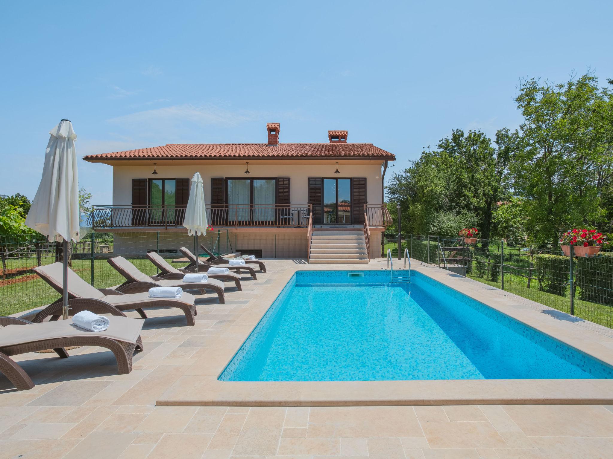 Foto 1 - Casa con 3 camere da letto a Sveta Nedelja con piscina privata e vista mare