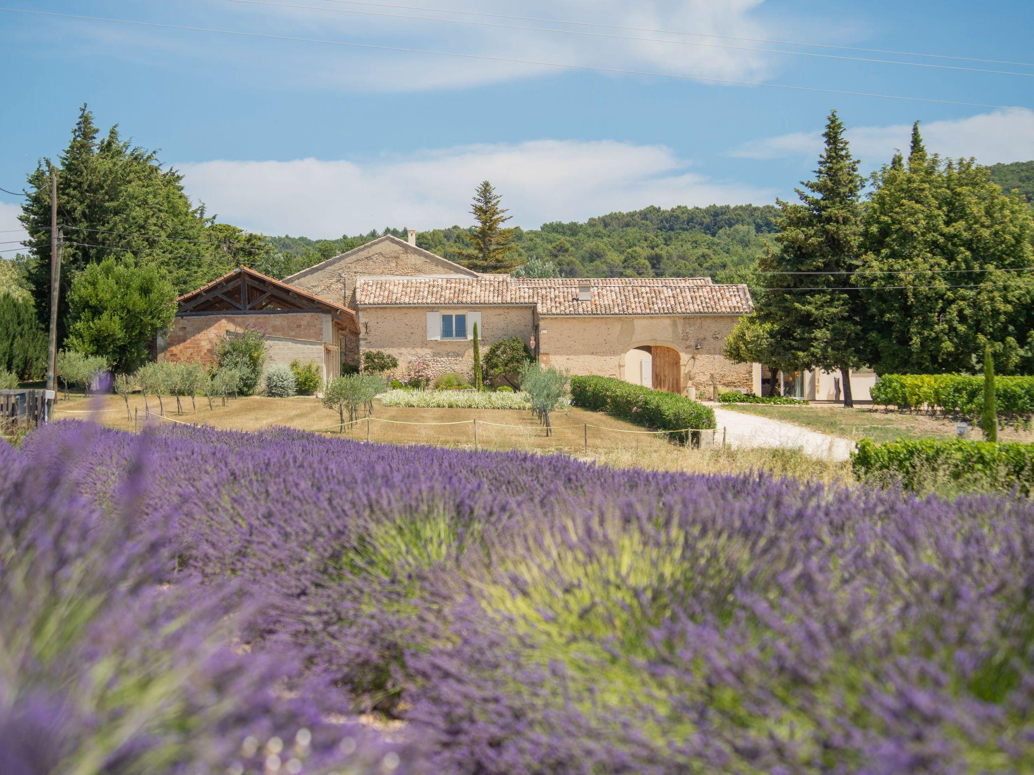 Photo 1 - Maison de 8 chambres à Valréas avec piscine privée et terrasse