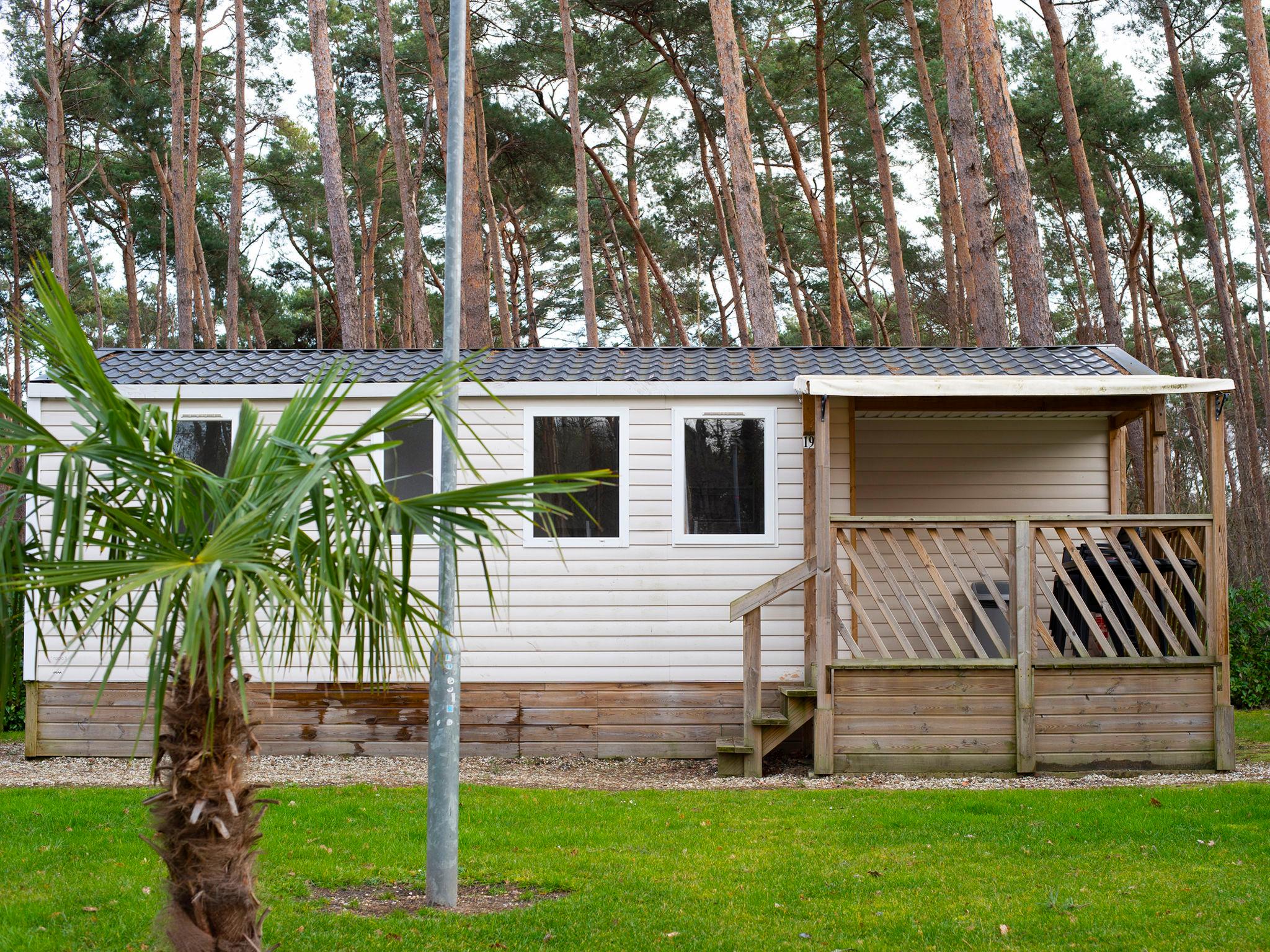 Photo 1 - Maison de 3 chambres à Schinveld avec jardin et terrasse