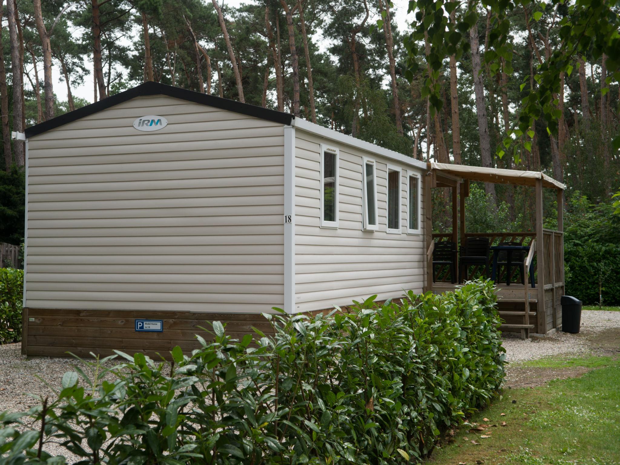 Photo 9 - Maison de 3 chambres à Schinveld avec jardin et terrasse