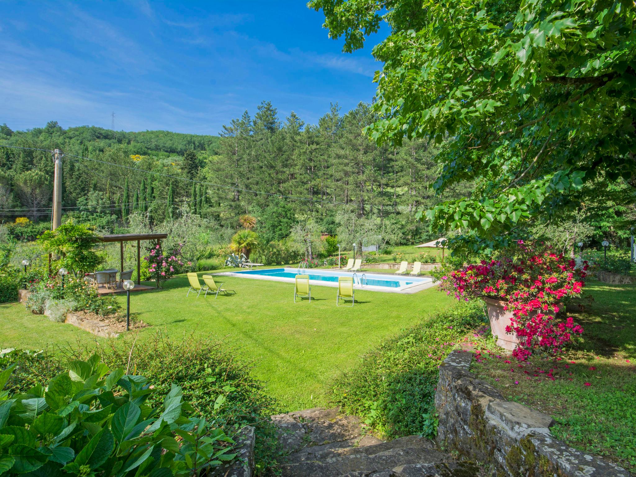 Photo 3 - Appartement de 1 chambre à Rufina avec piscine et jardin