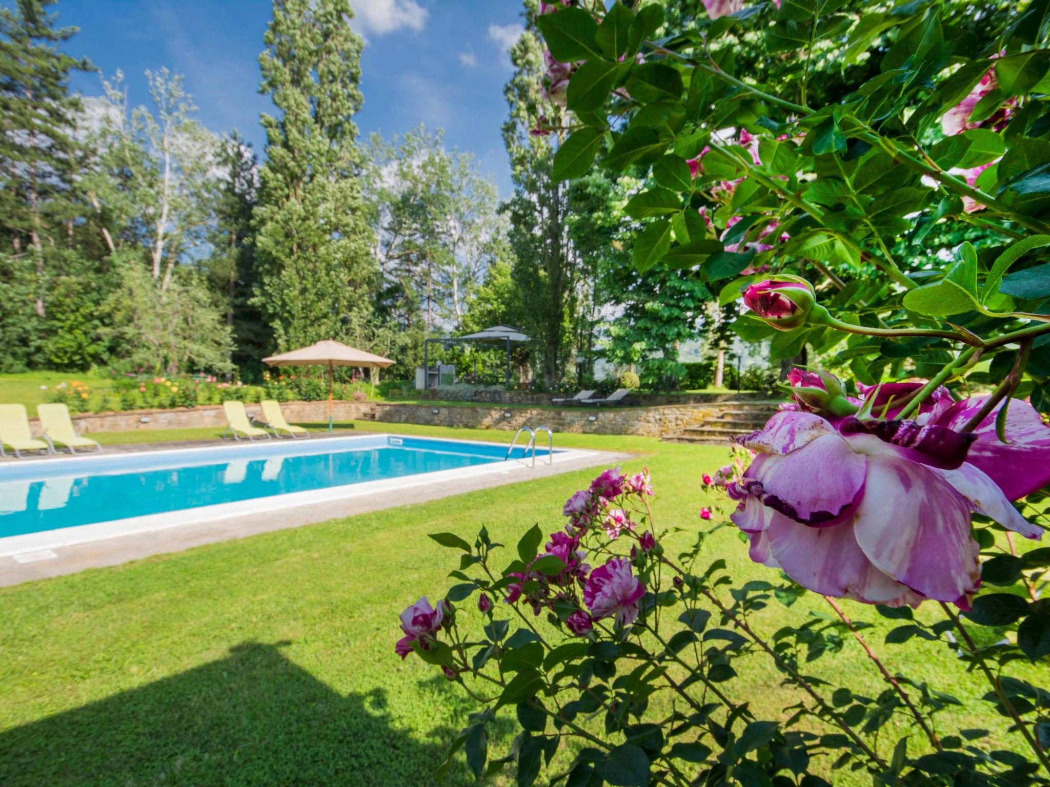 Photo 12 - 1 bedroom Apartment in Rufina with swimming pool and garden