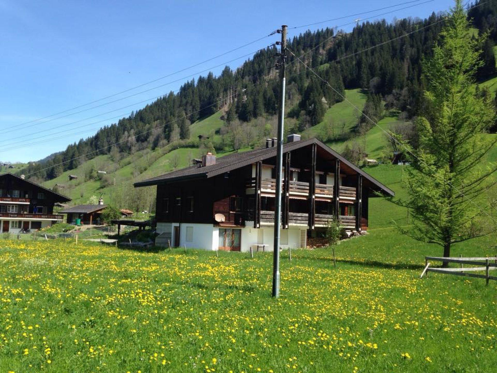 Photo 1 - 3 bedroom Apartment in Lenk