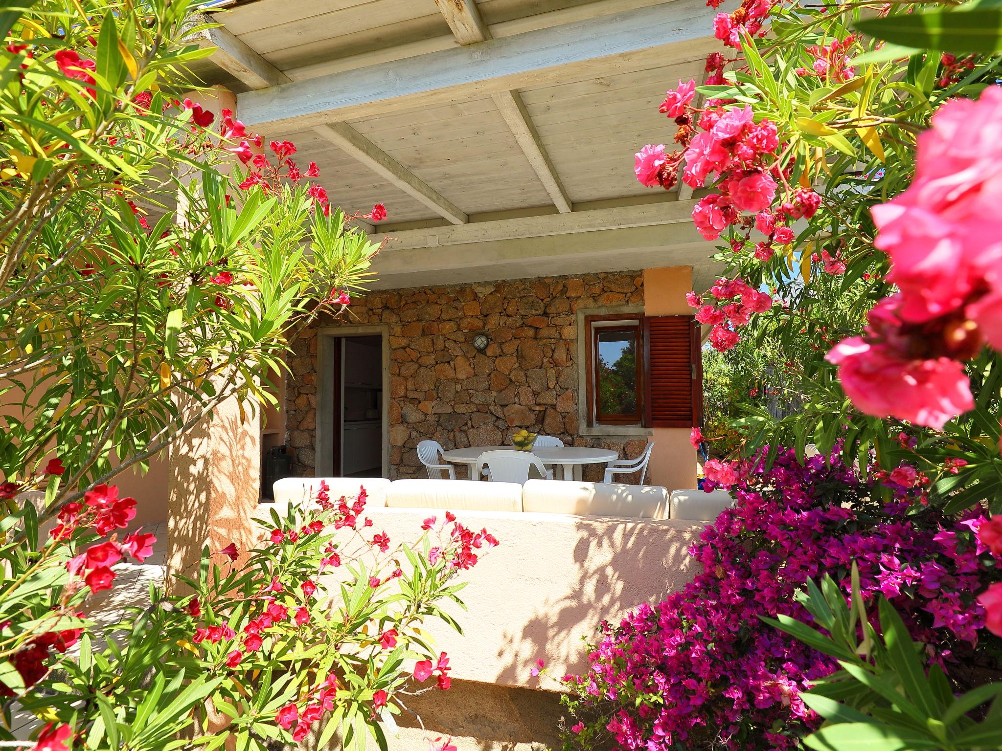 Photo 4 - Appartement de 1 chambre à Golfo Aranci avec jardin et vues à la mer