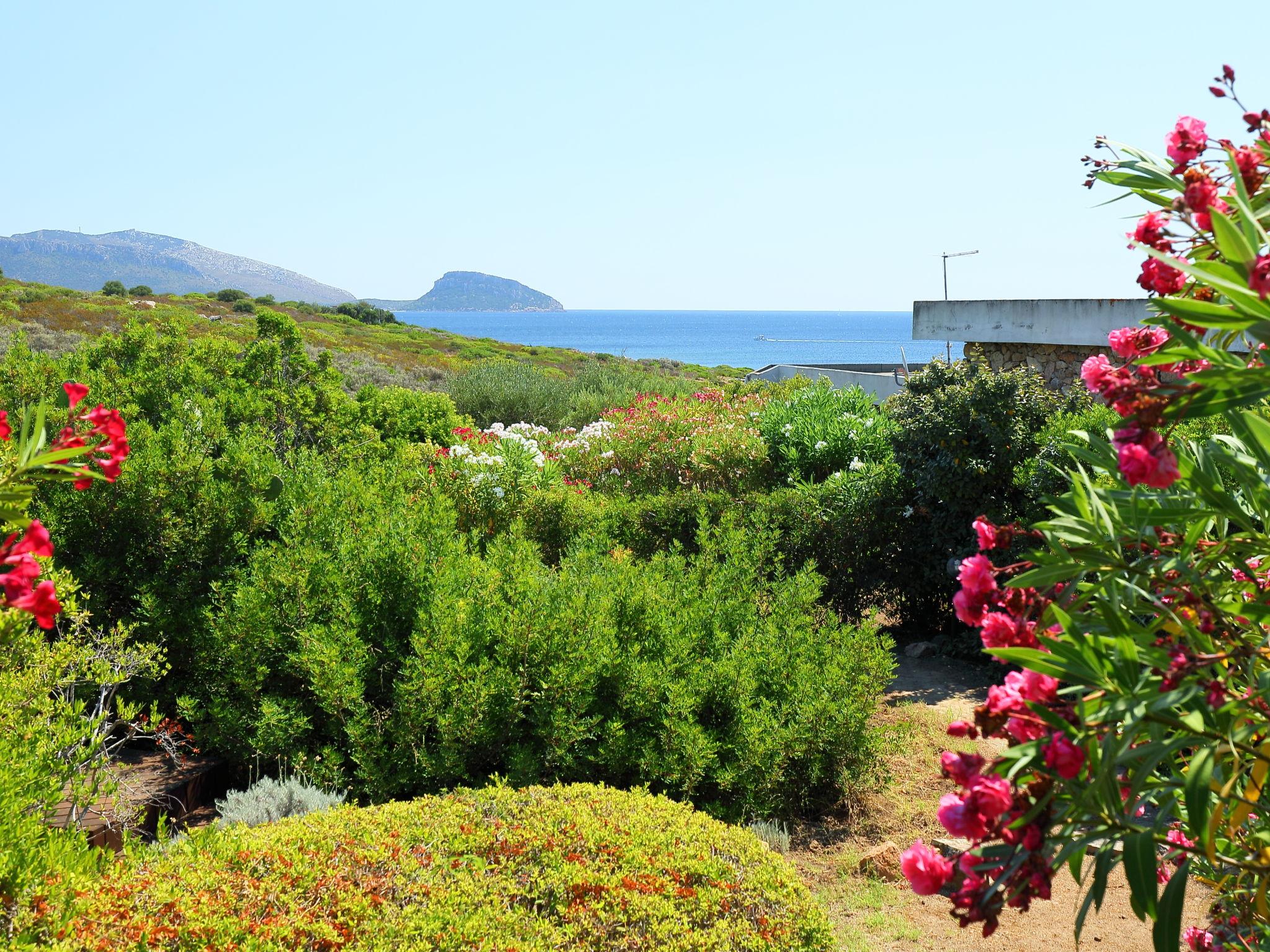 Foto 3 - Apartamento de 1 habitación en Golfo Aranci con jardín y vistas al mar