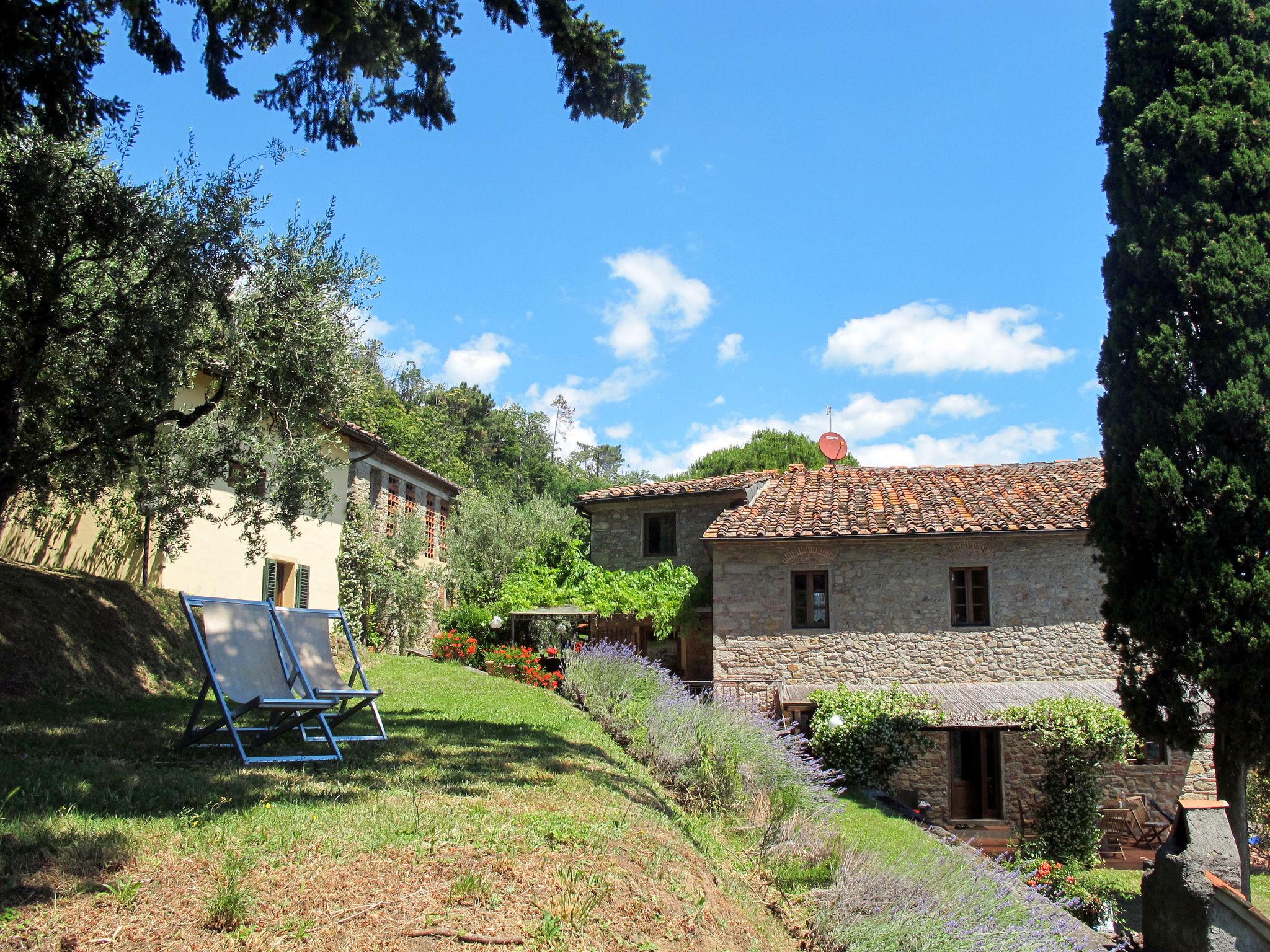 Foto 19 - Casa con 2 camere da letto a Pescia con piscina e giardino