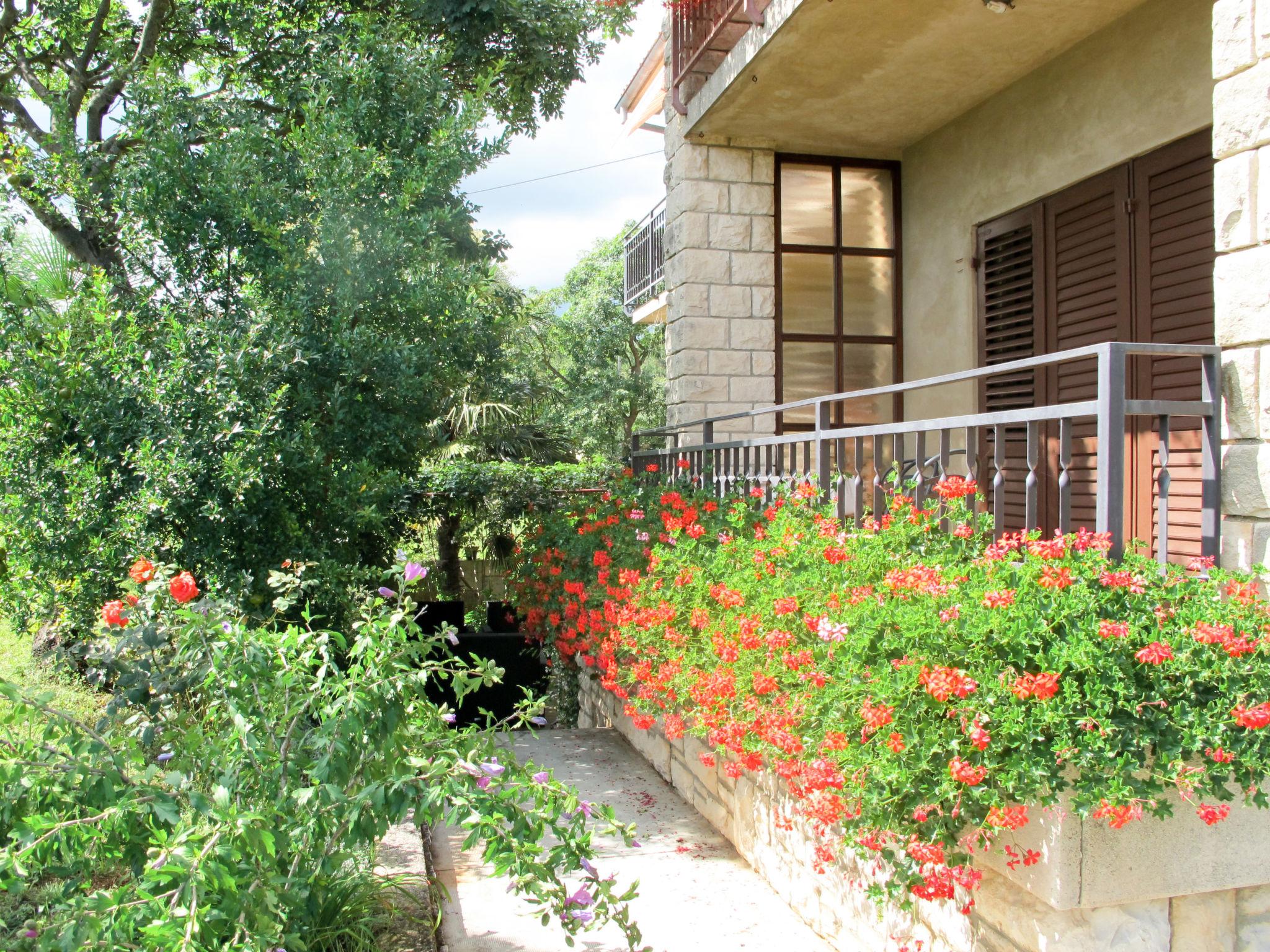 Foto 19 - Apartment mit 4 Schlafzimmern in Marčana mit terrasse und blick aufs meer