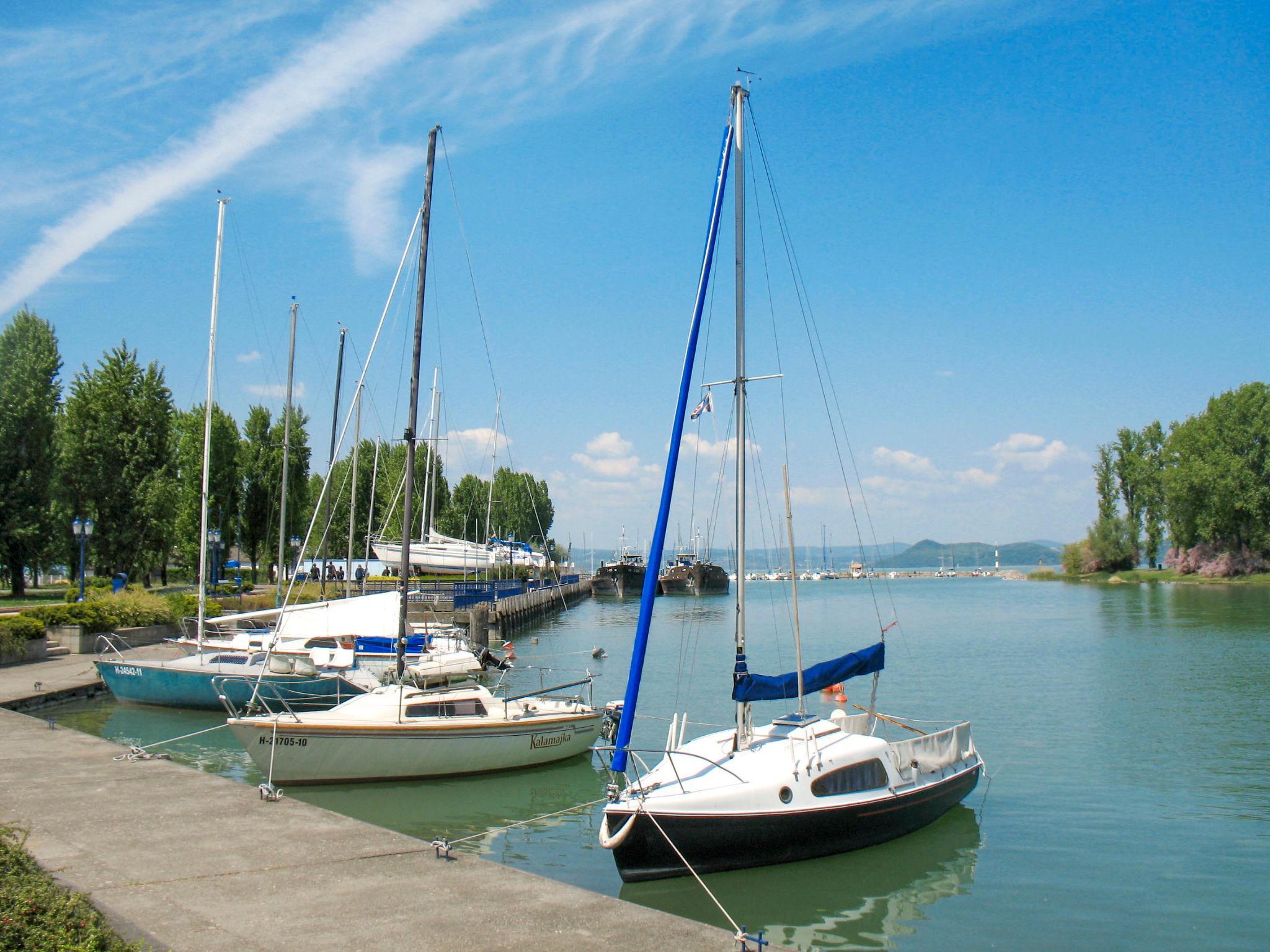 Photo 29 - Maison de 4 chambres à Balatonszárszó avec piscine privée et jardin