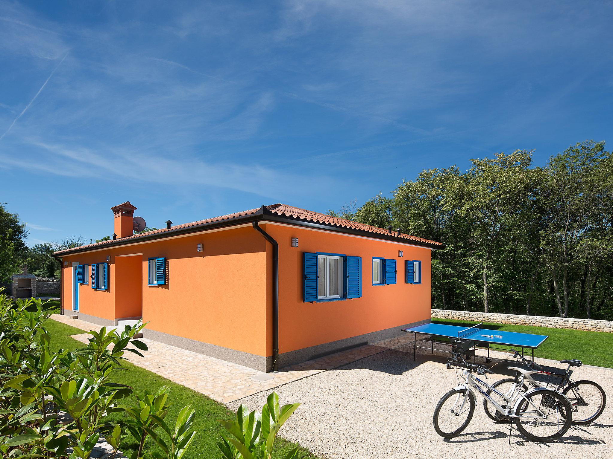 Photo 17 - Maison de 3 chambres à Raša avec piscine privée et jardin