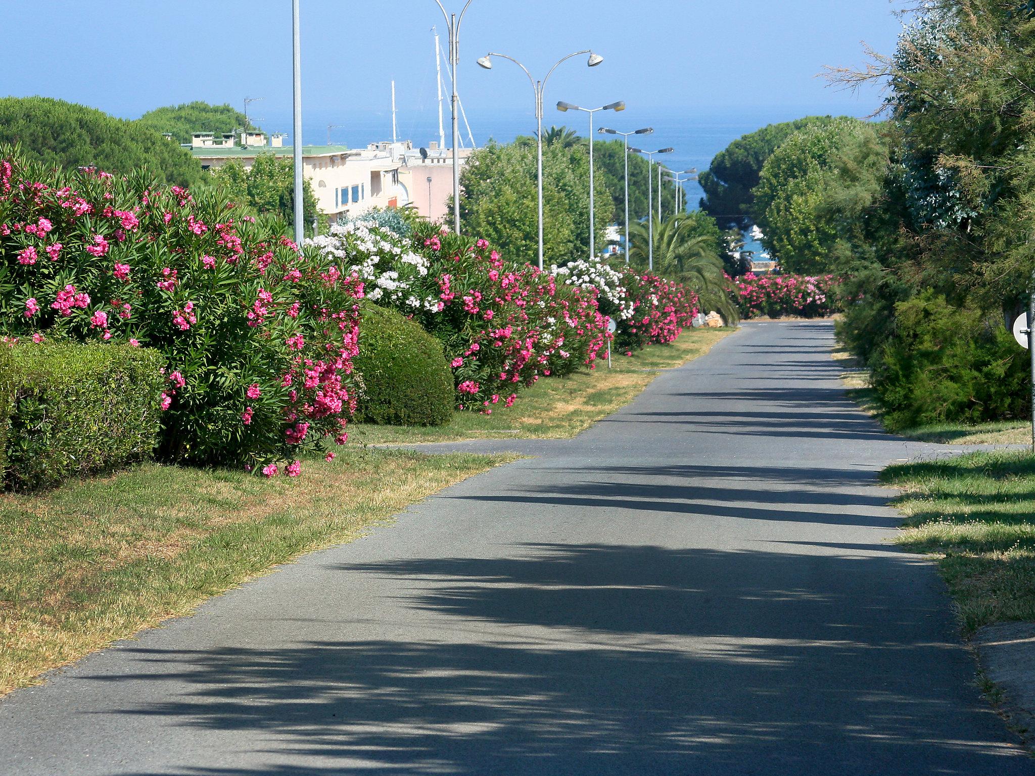 Photo 24 - 1 bedroom Apartment in Cavalaire-sur-Mer with terrace