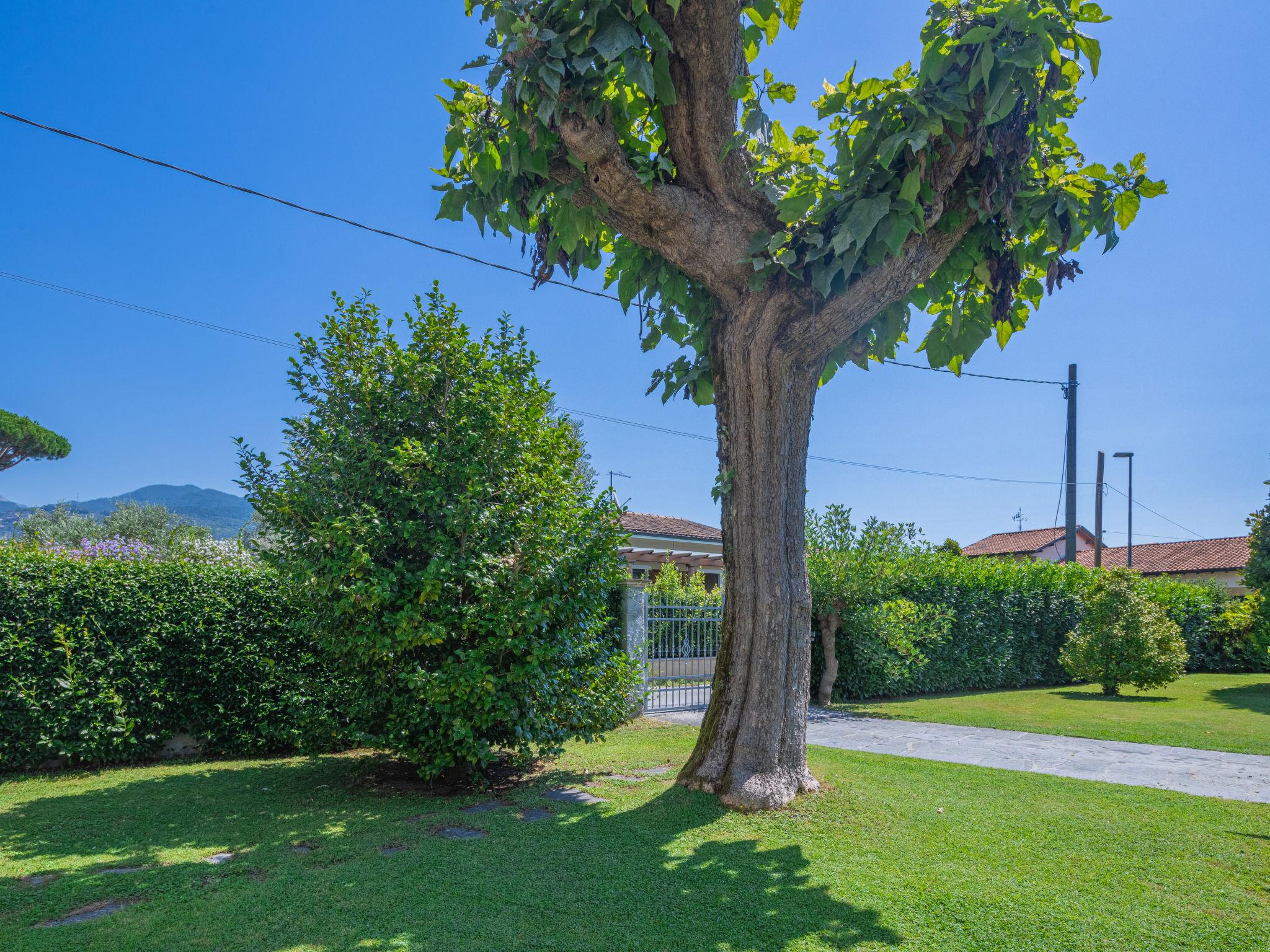 Photo 18 - 3 bedroom House in Pietrasanta with garden and sea view