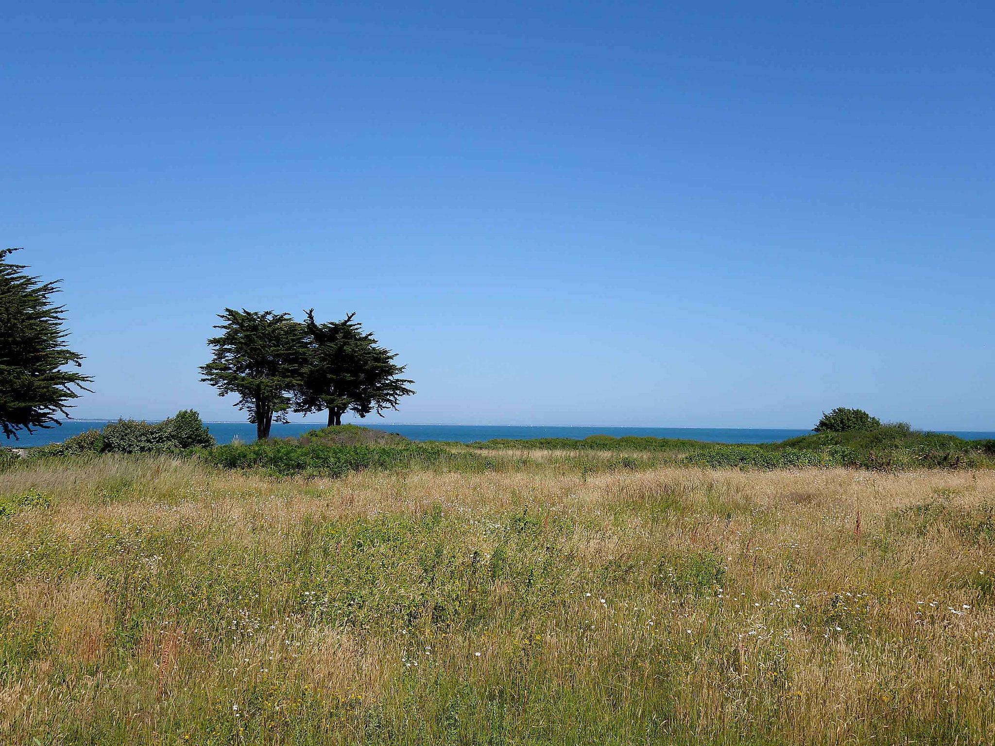 Photo 15 - Appartement de 1 chambre à Saint-Pierre-Quiberon avec jardin et vues à la mer