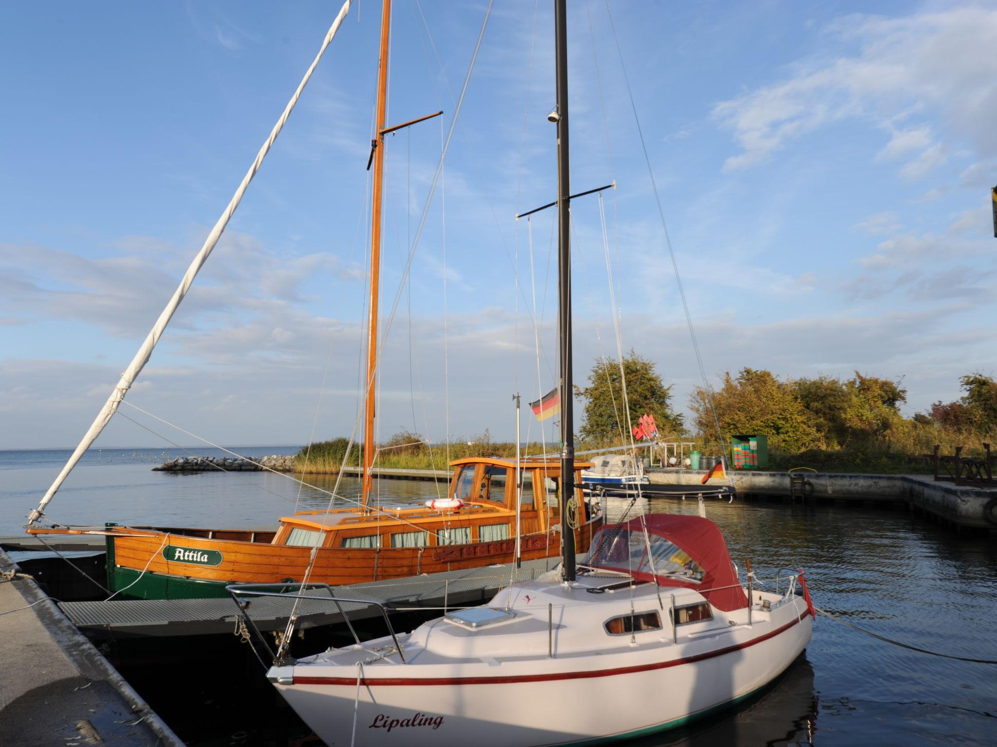 Foto 5 - Appartamento a Ueckermünde con giardino e terrazza