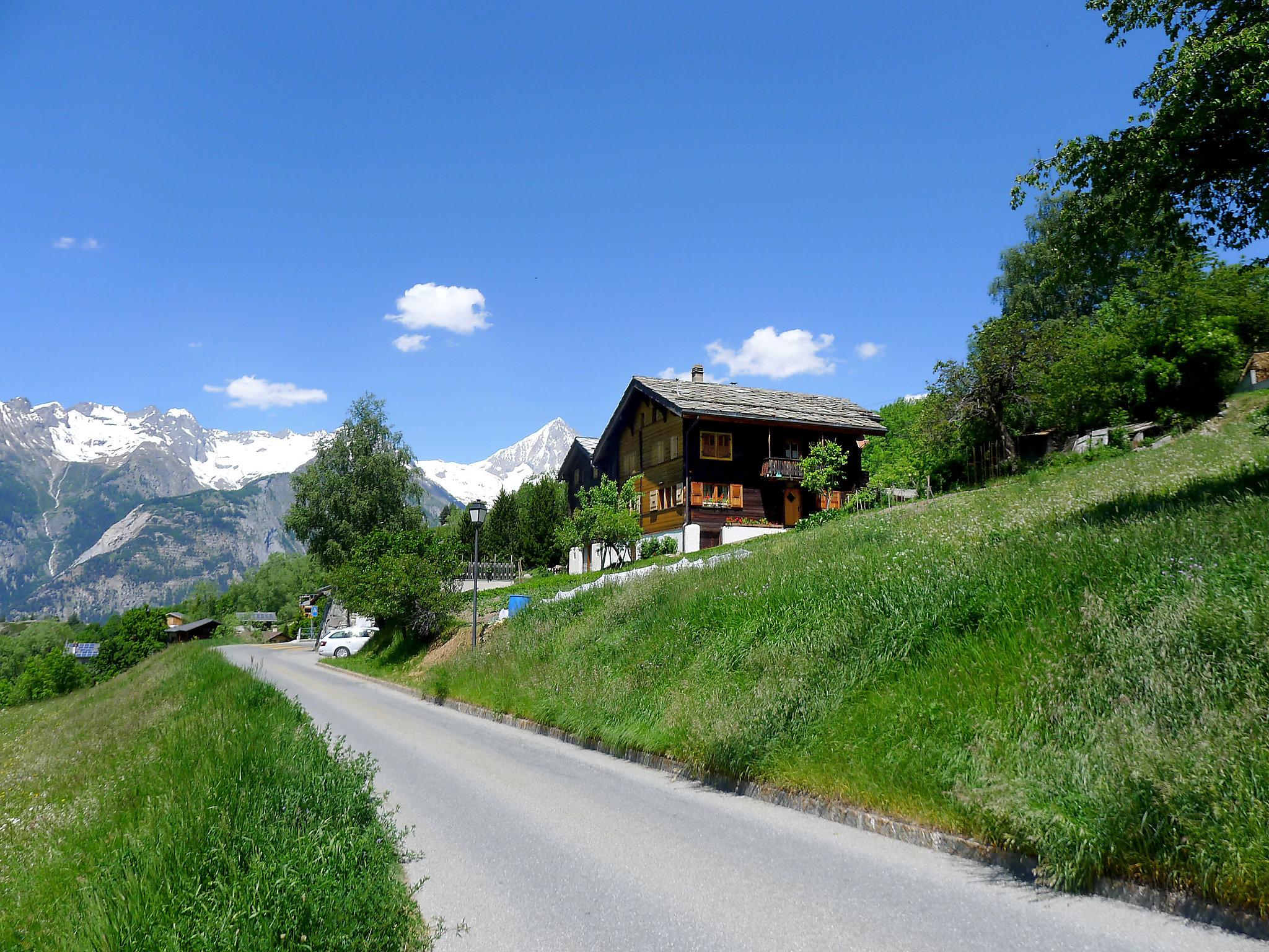 Foto 27 - Apartamento de 3 habitaciones en Bürchen con jardín y vistas a la montaña
